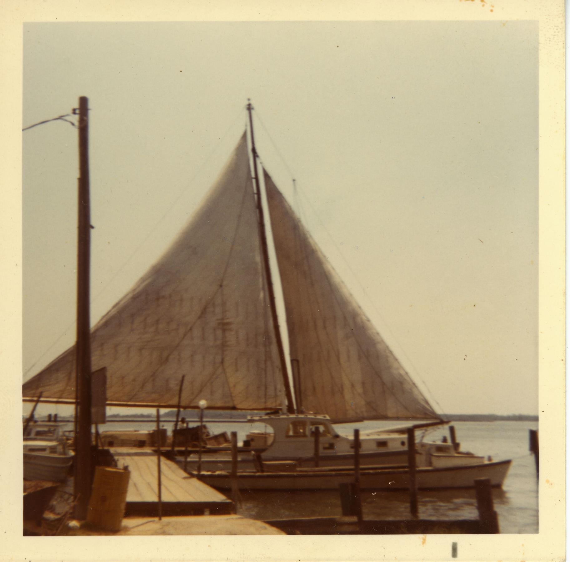 CBMM catalog image
