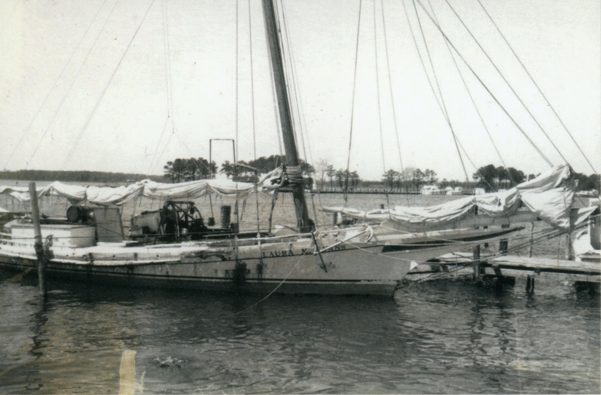 CBMM catalog image