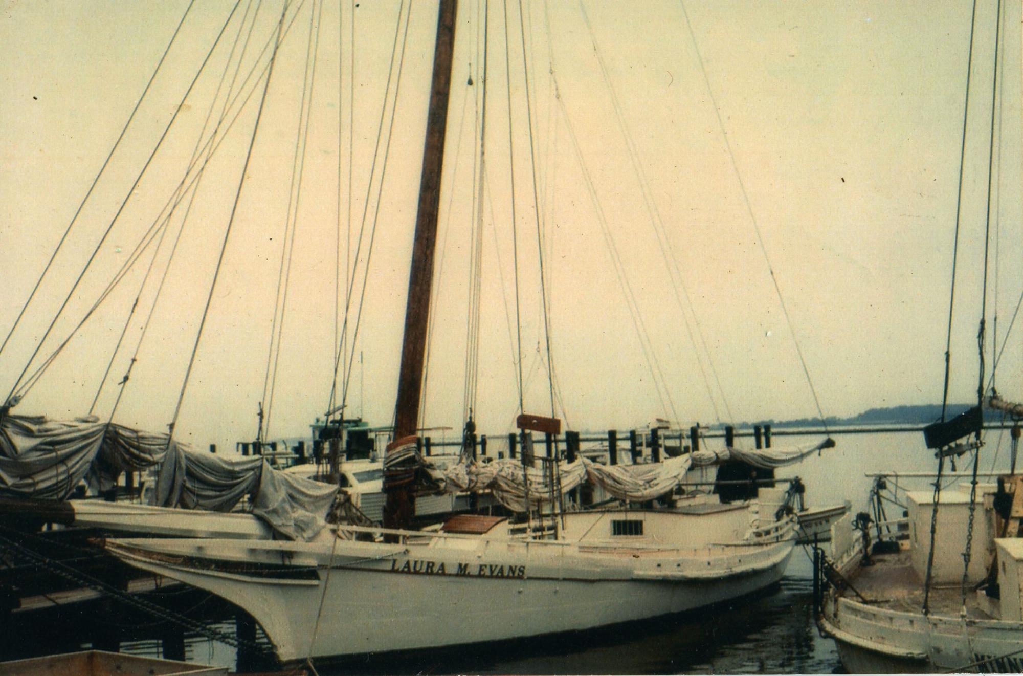 CBMM catalog image