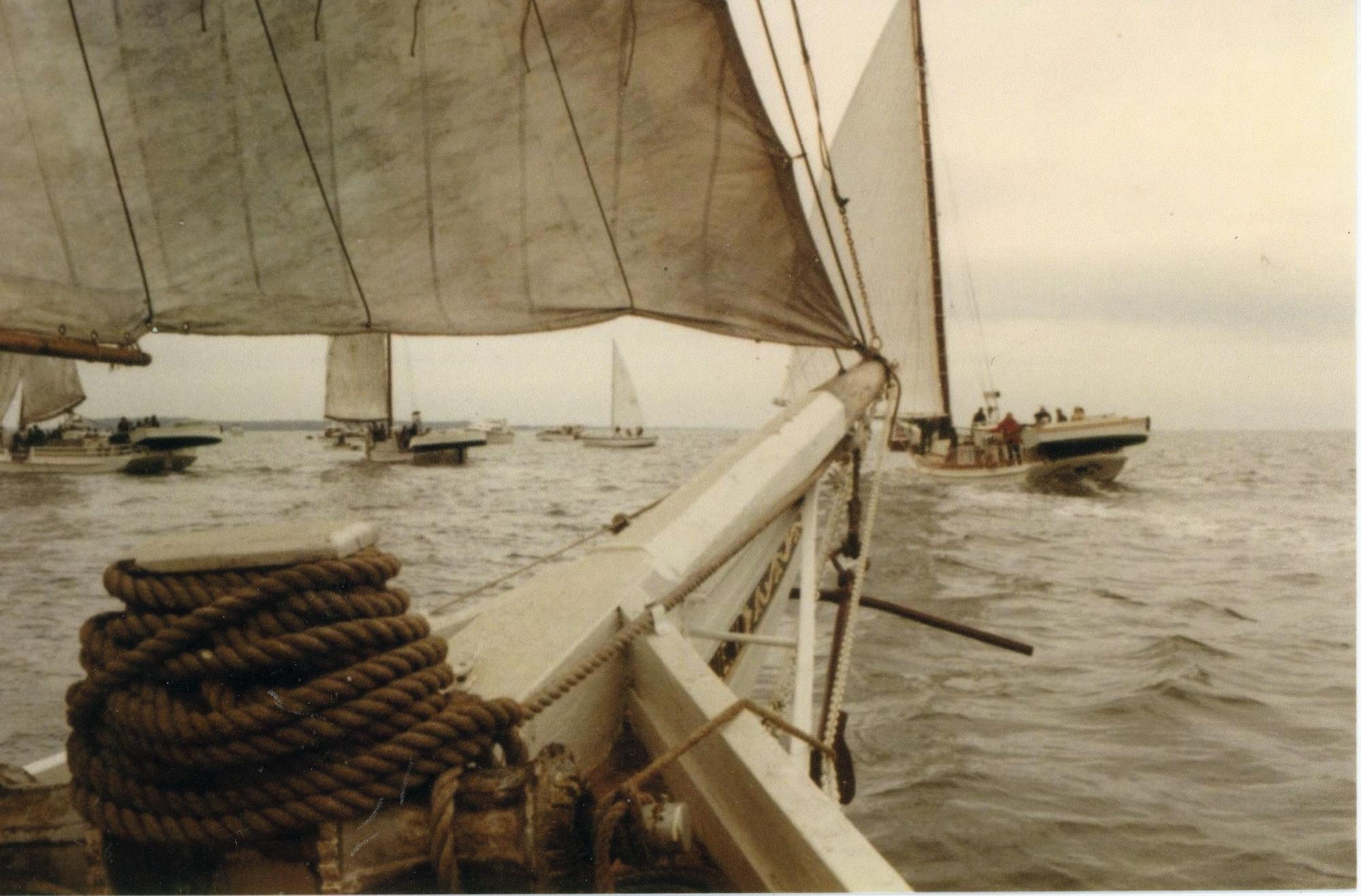 CBMM catalog image