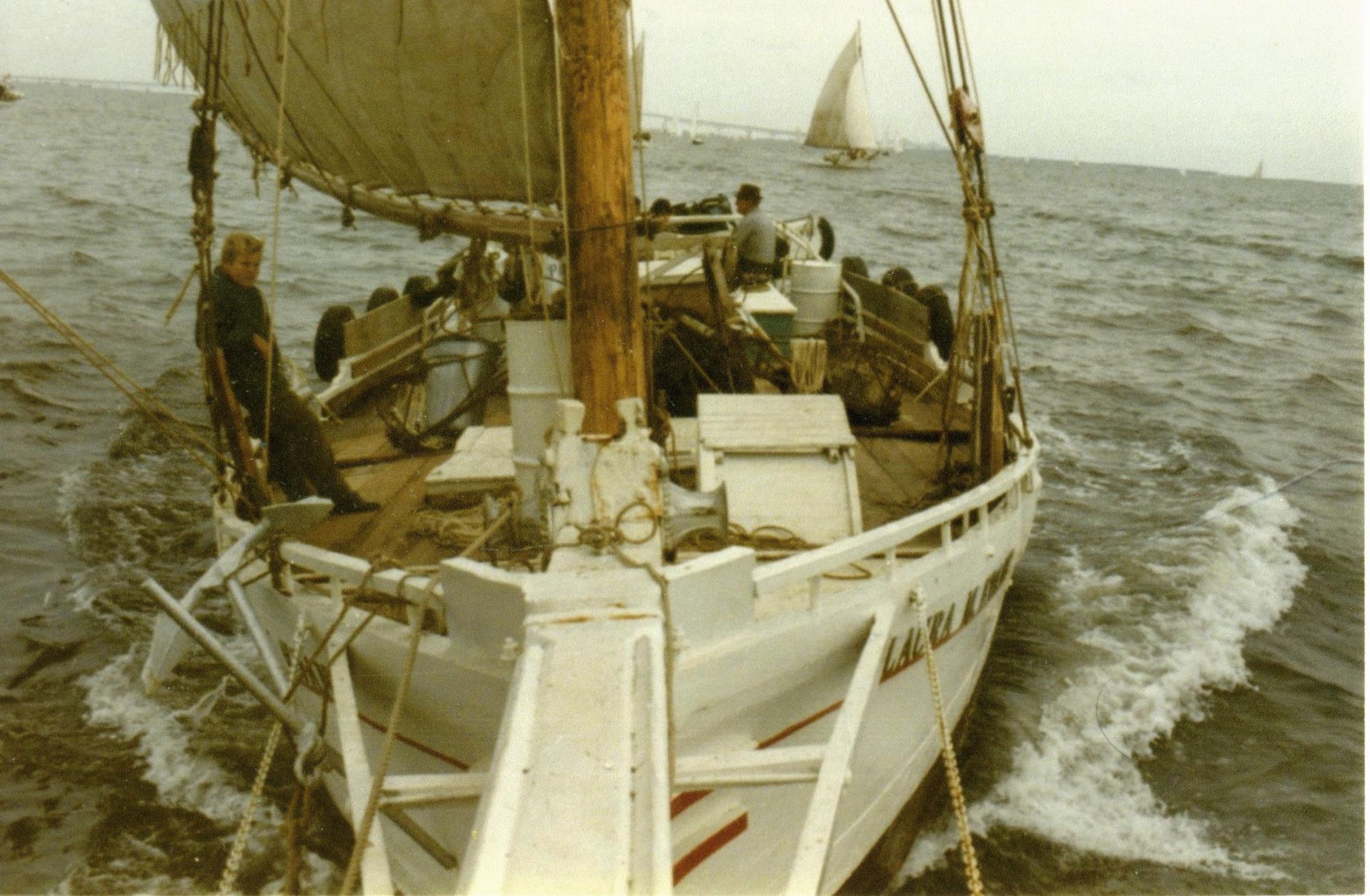 CBMM catalog image