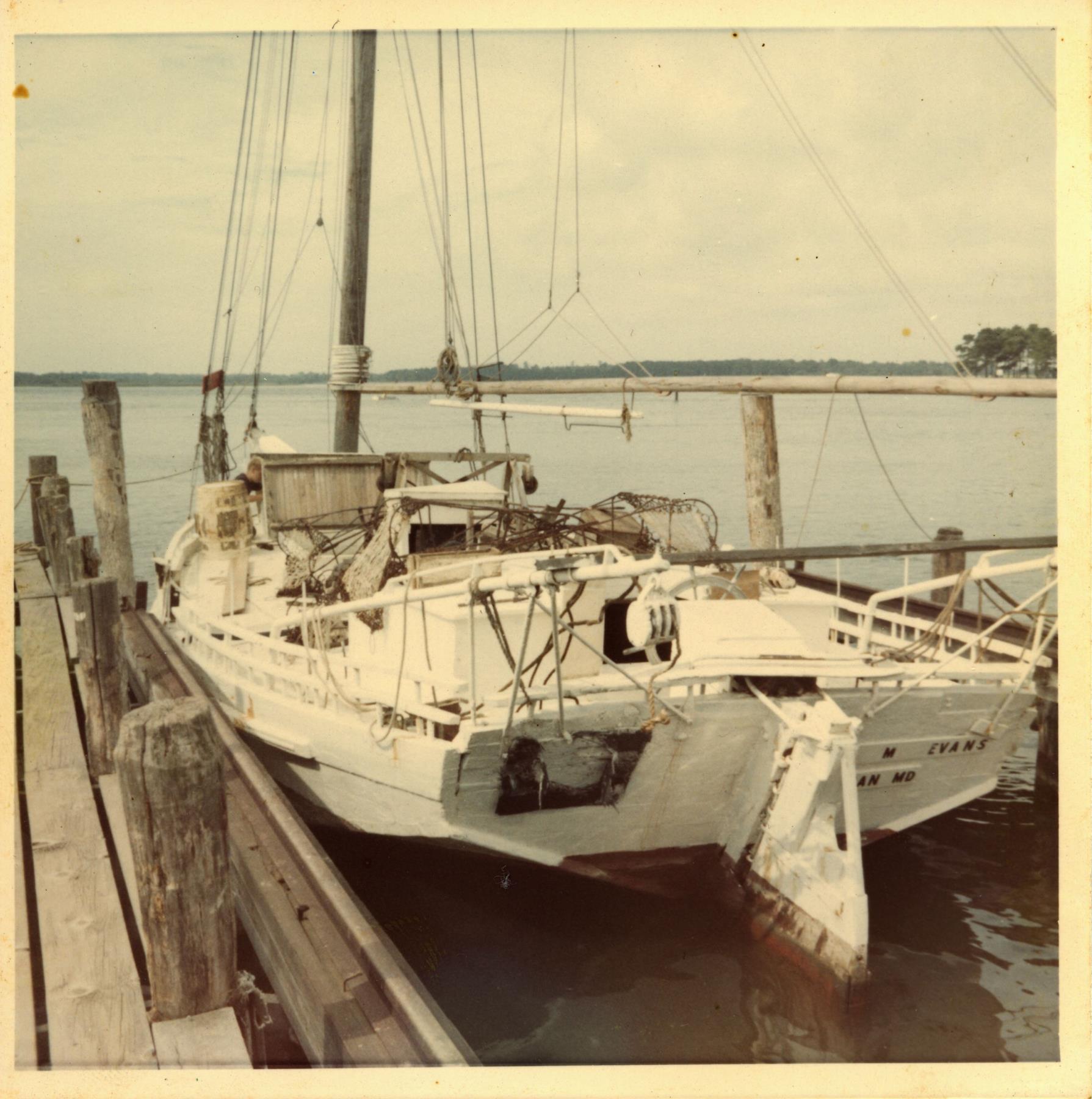 CBMM catalog image