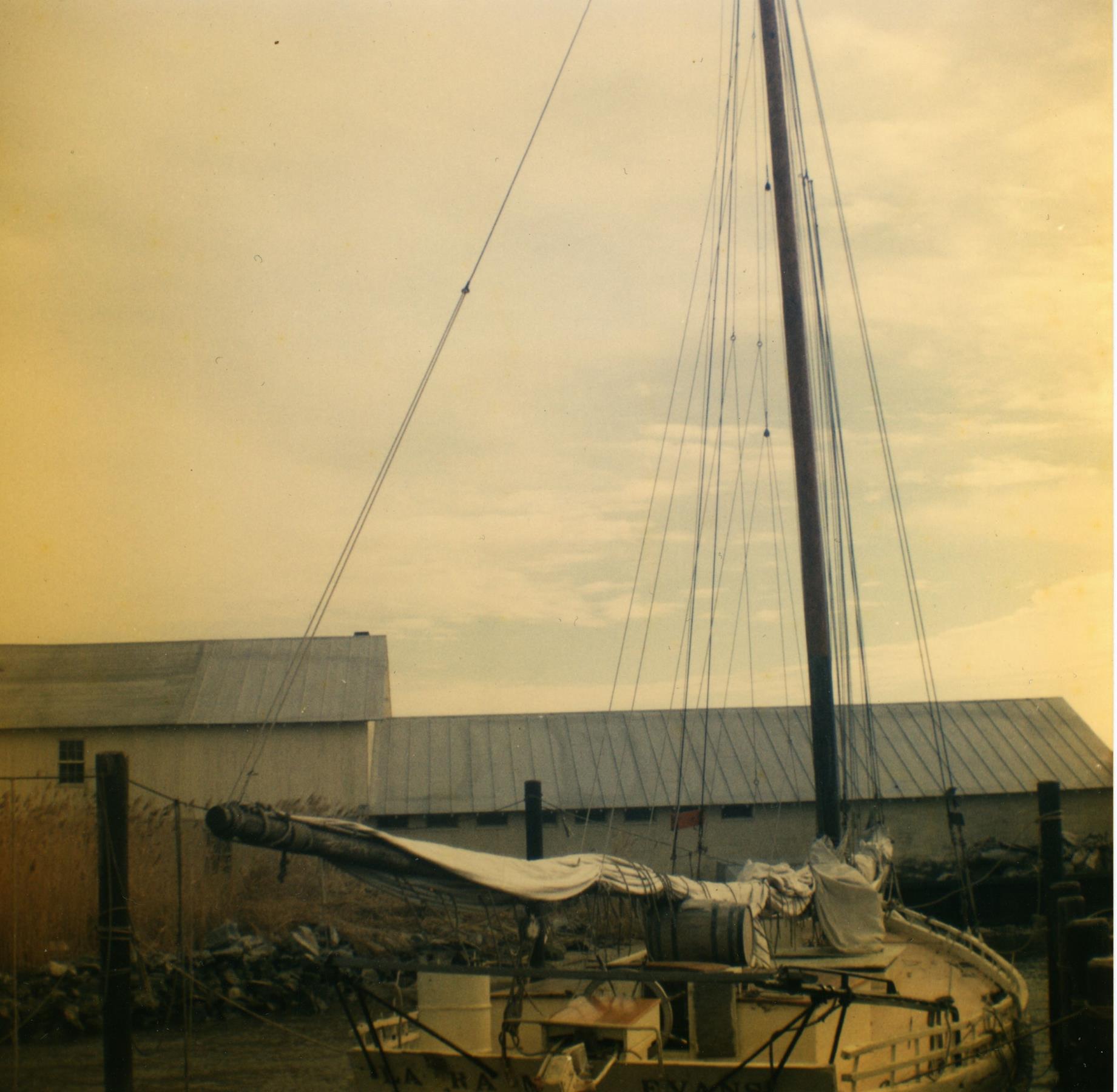 CBMM catalog image