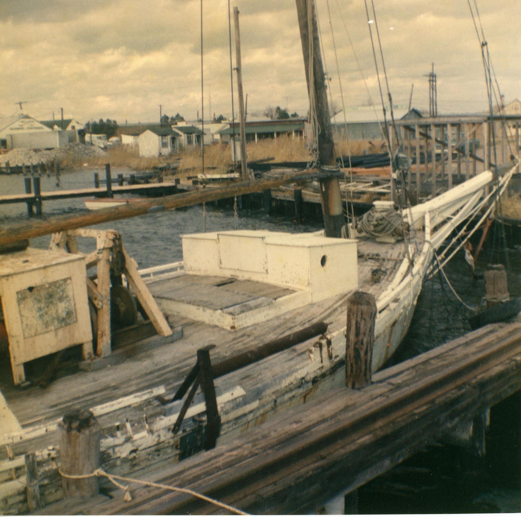CBMM catalog image