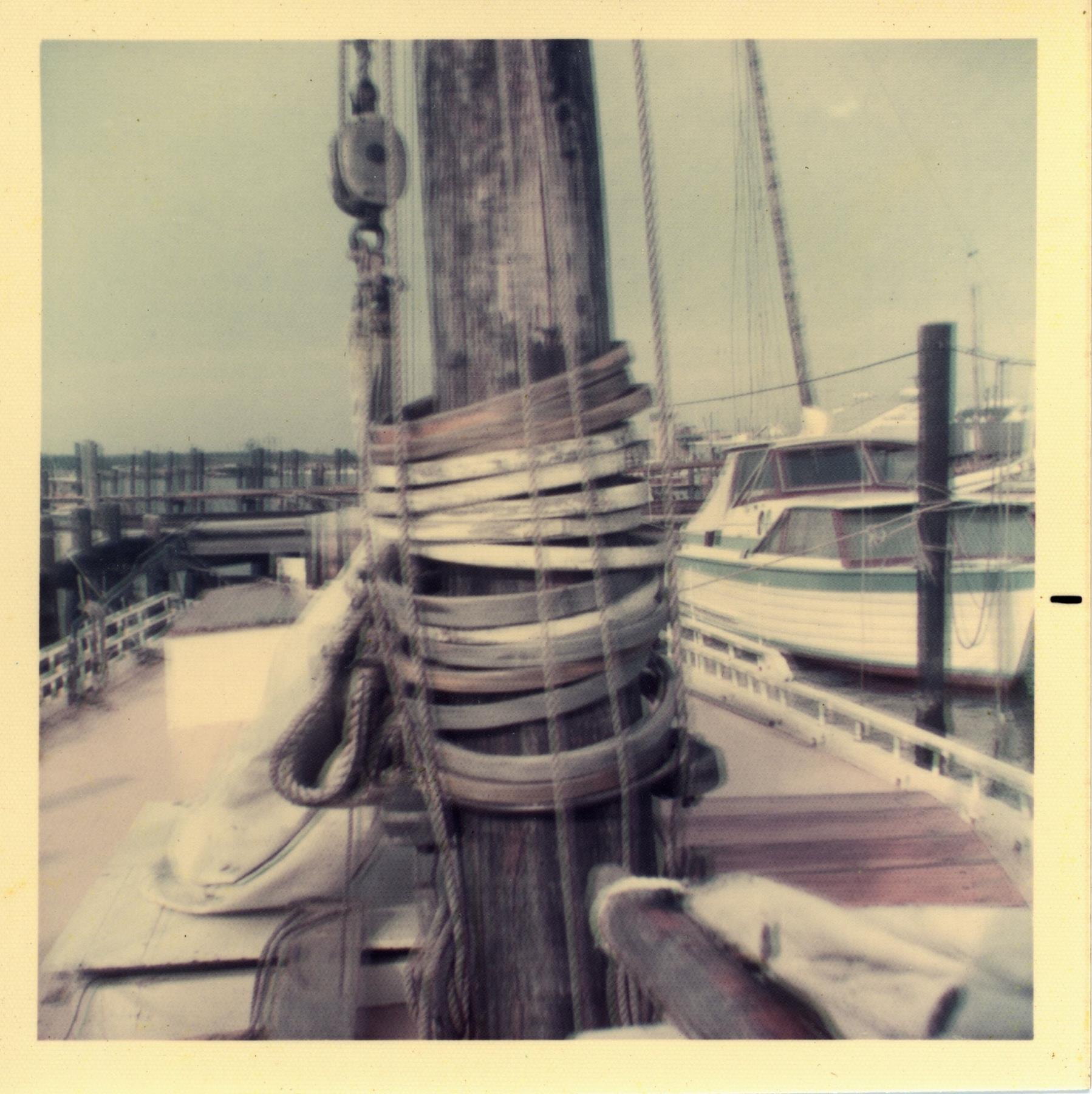 CBMM catalog image