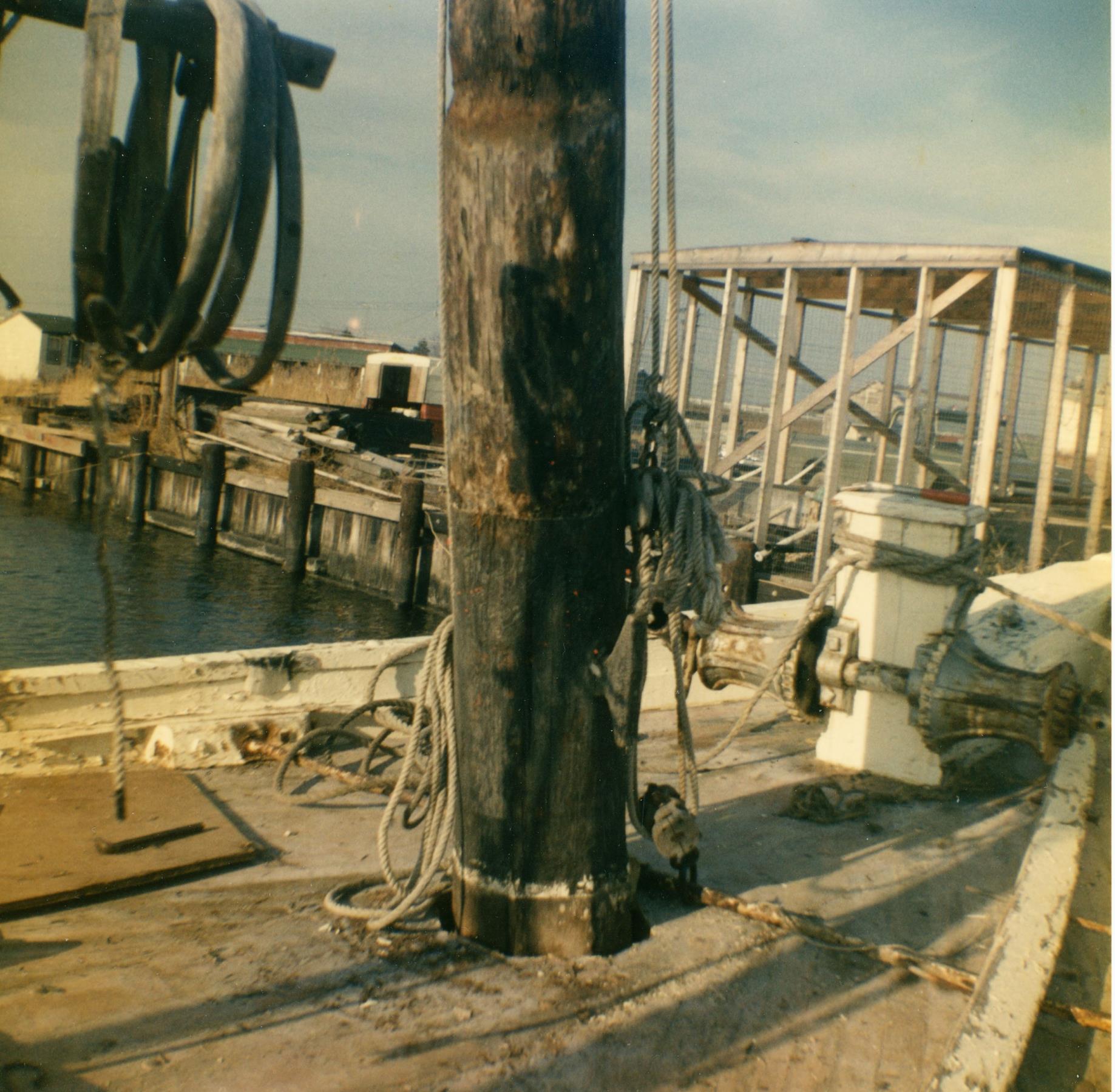 CBMM catalog image