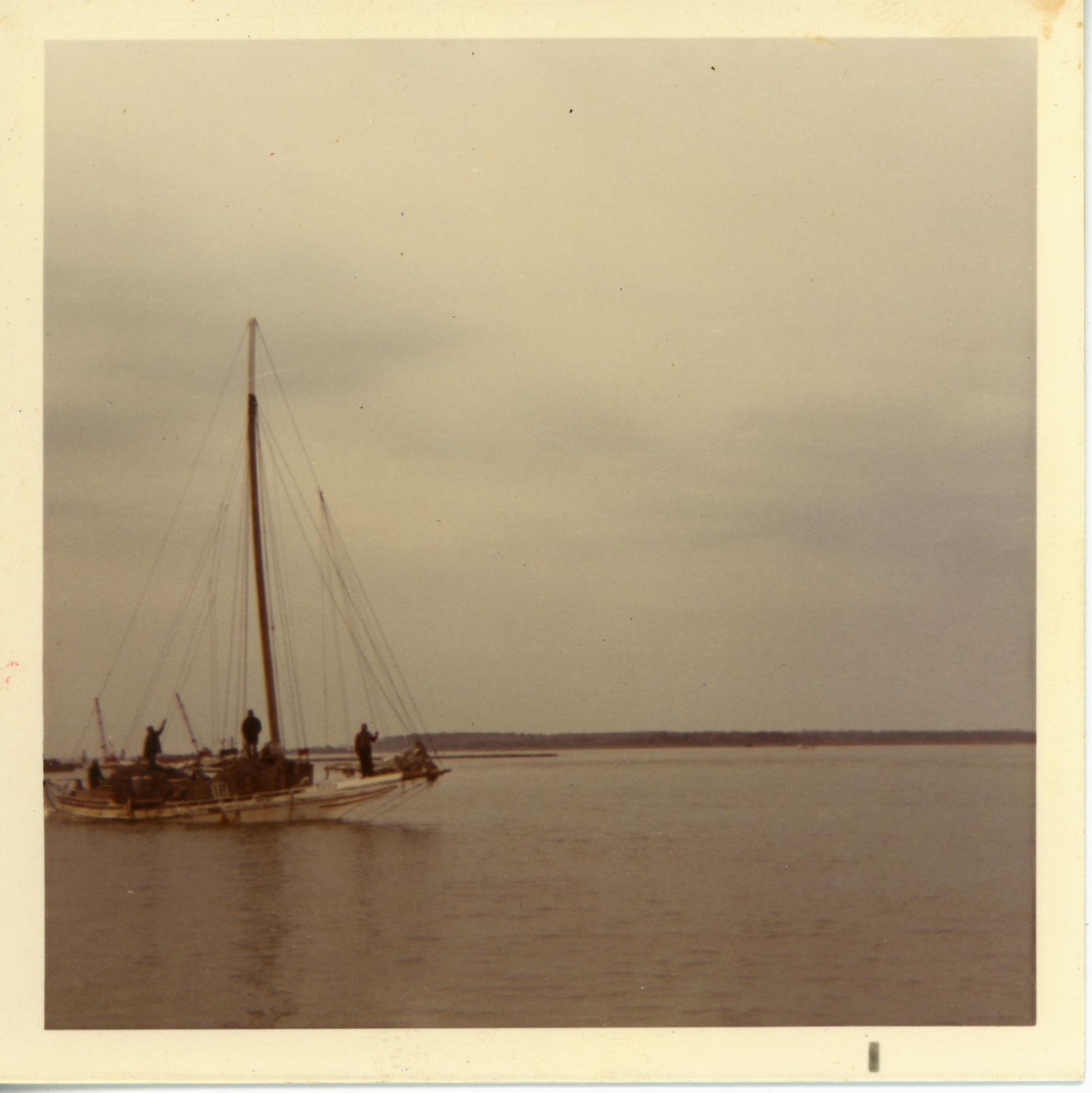 CBMM catalog image