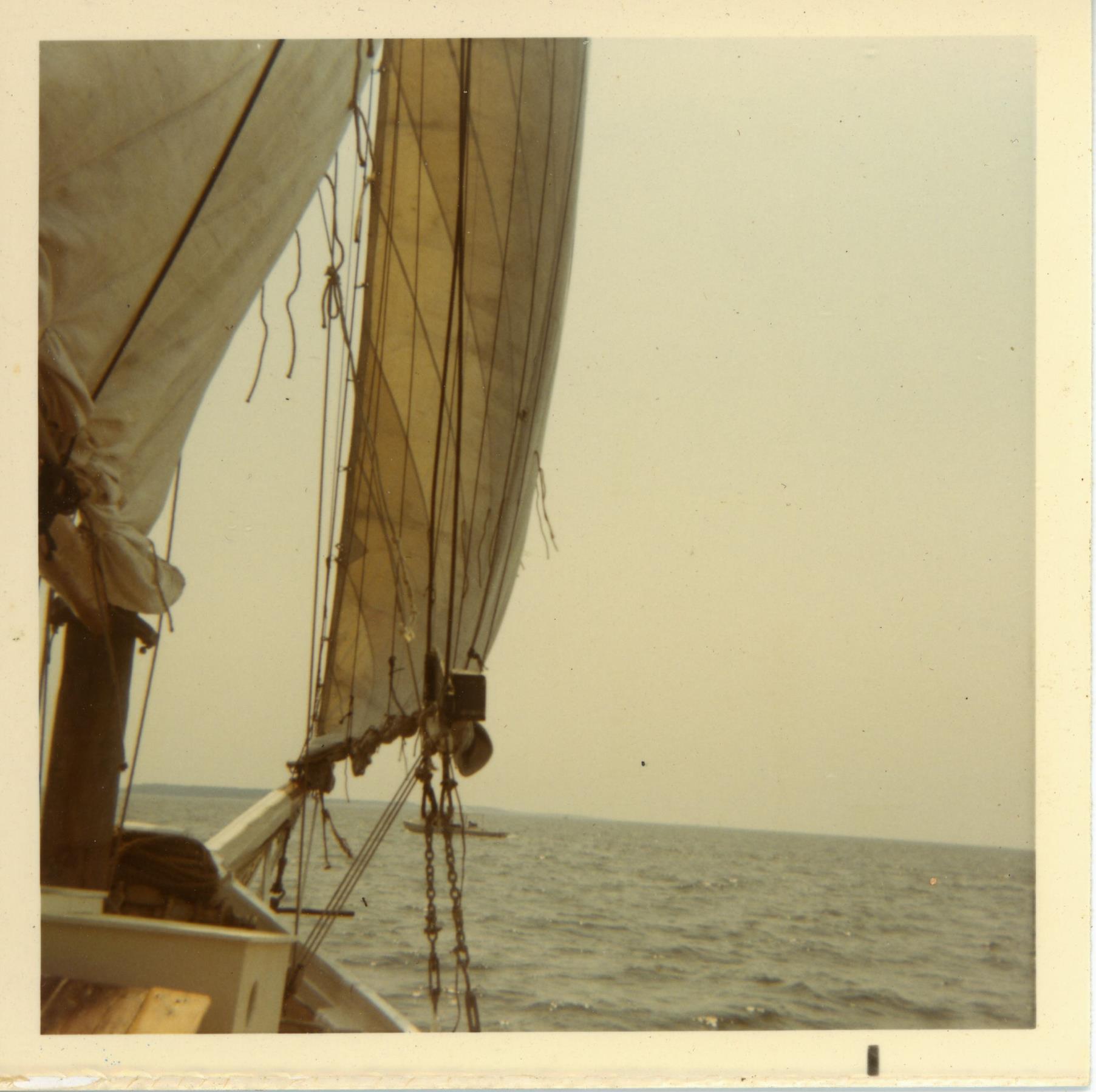 CBMM catalog image