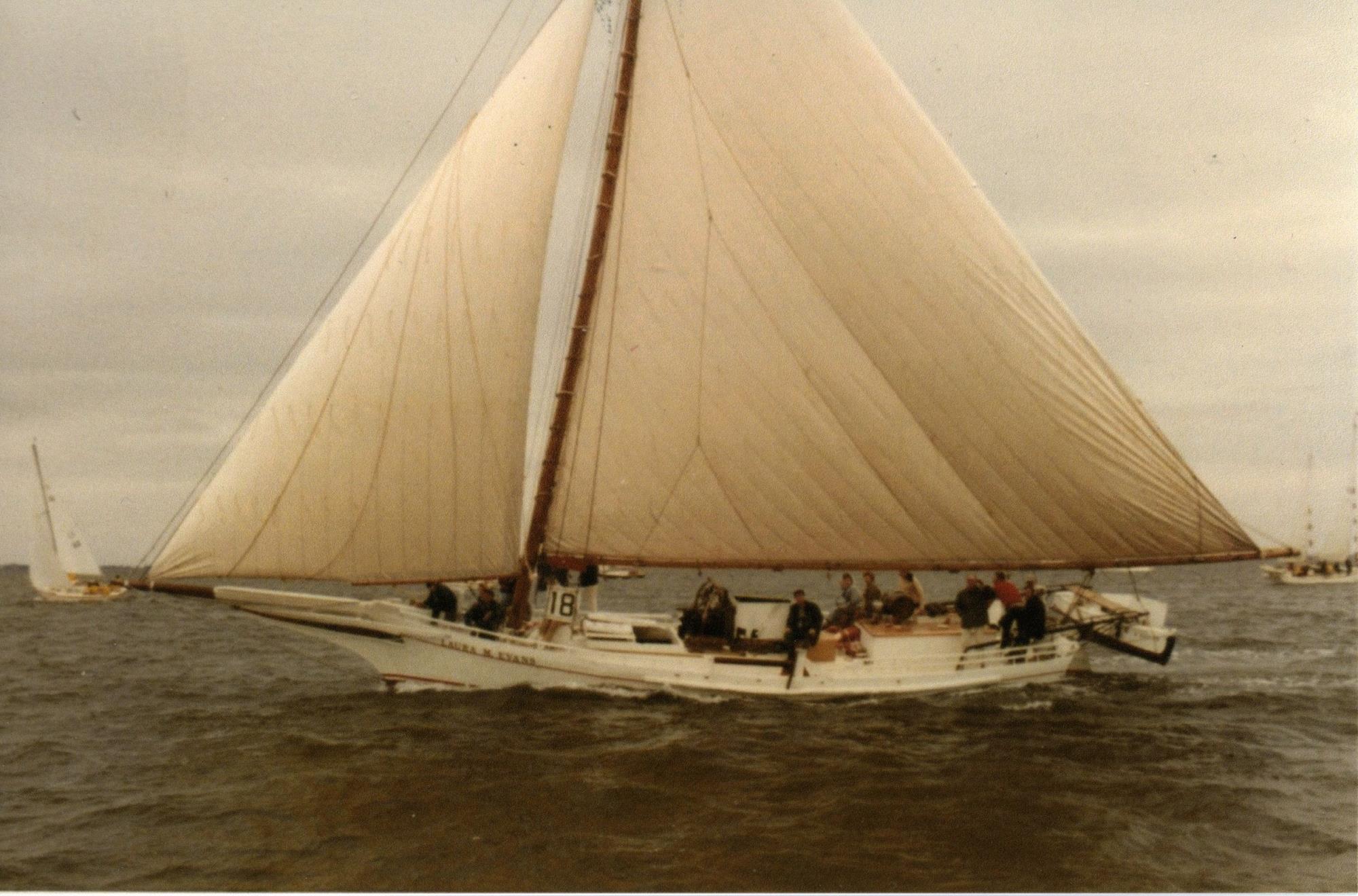 CBMM catalog image