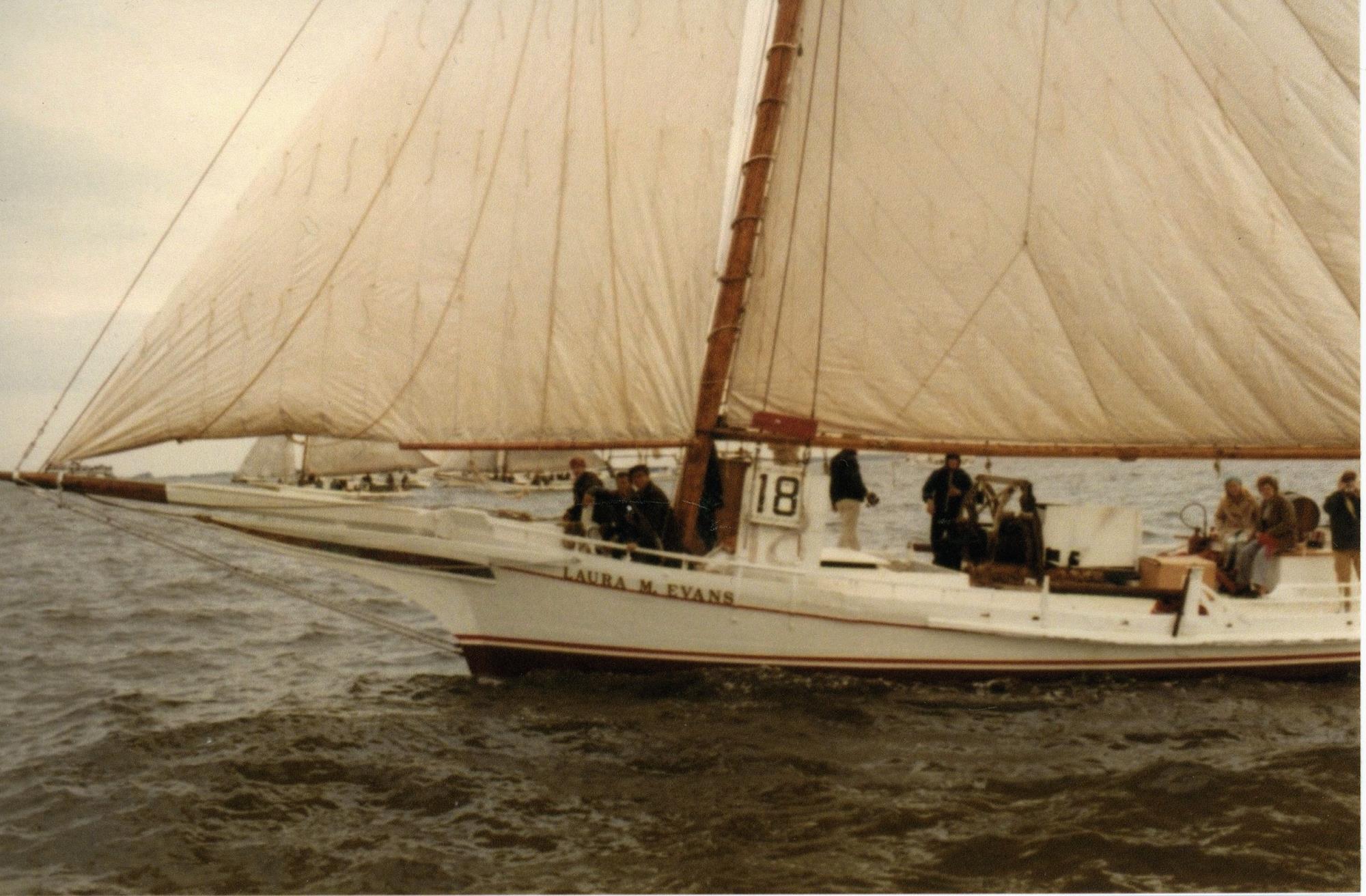 CBMM catalog image