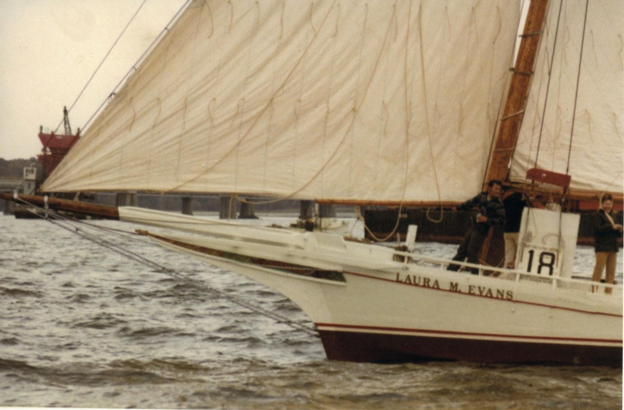 CBMM catalog image