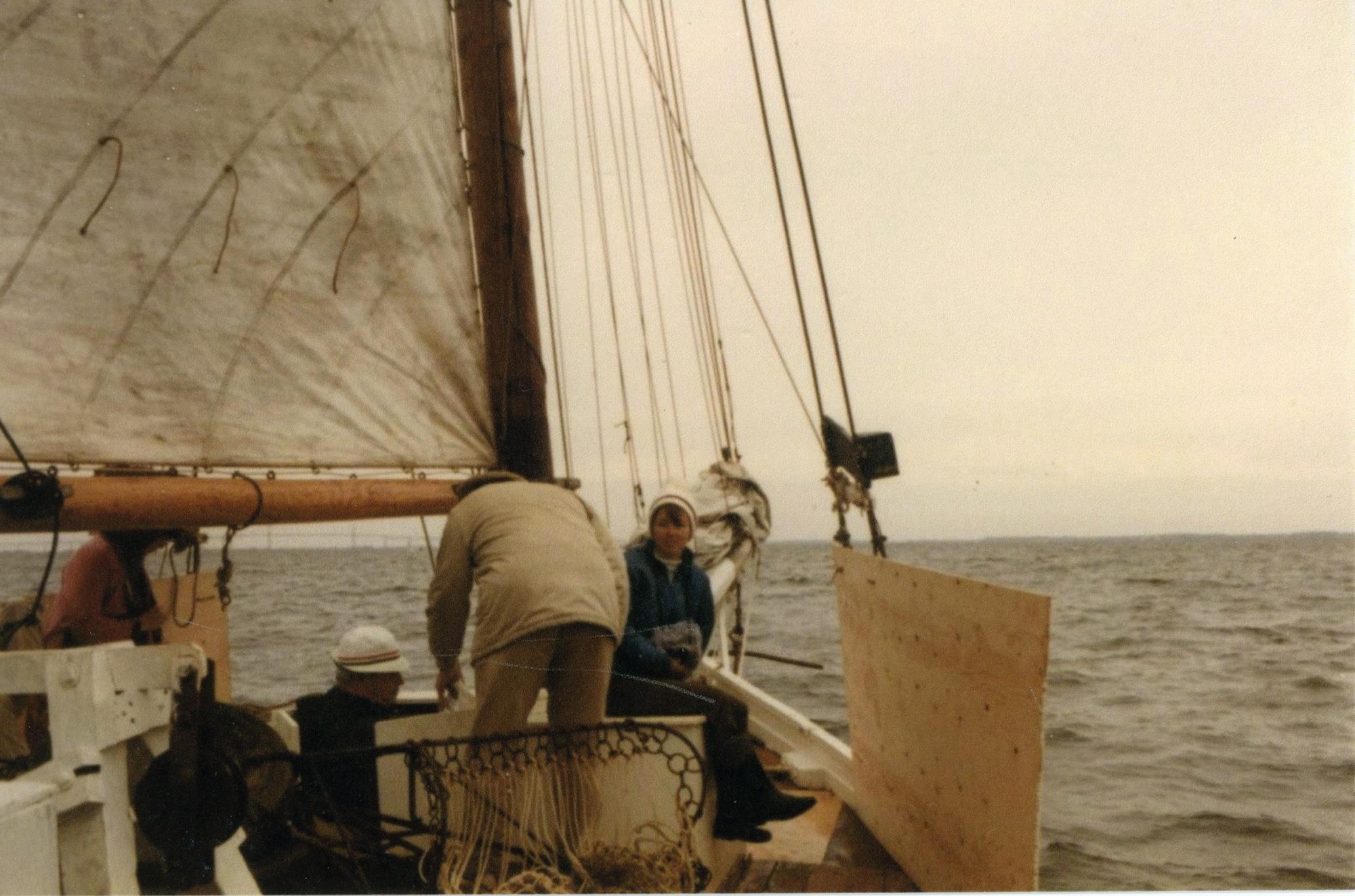 CBMM catalog image