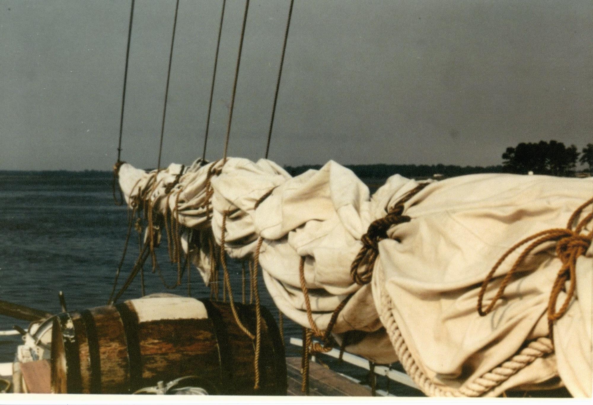 CBMM catalog image