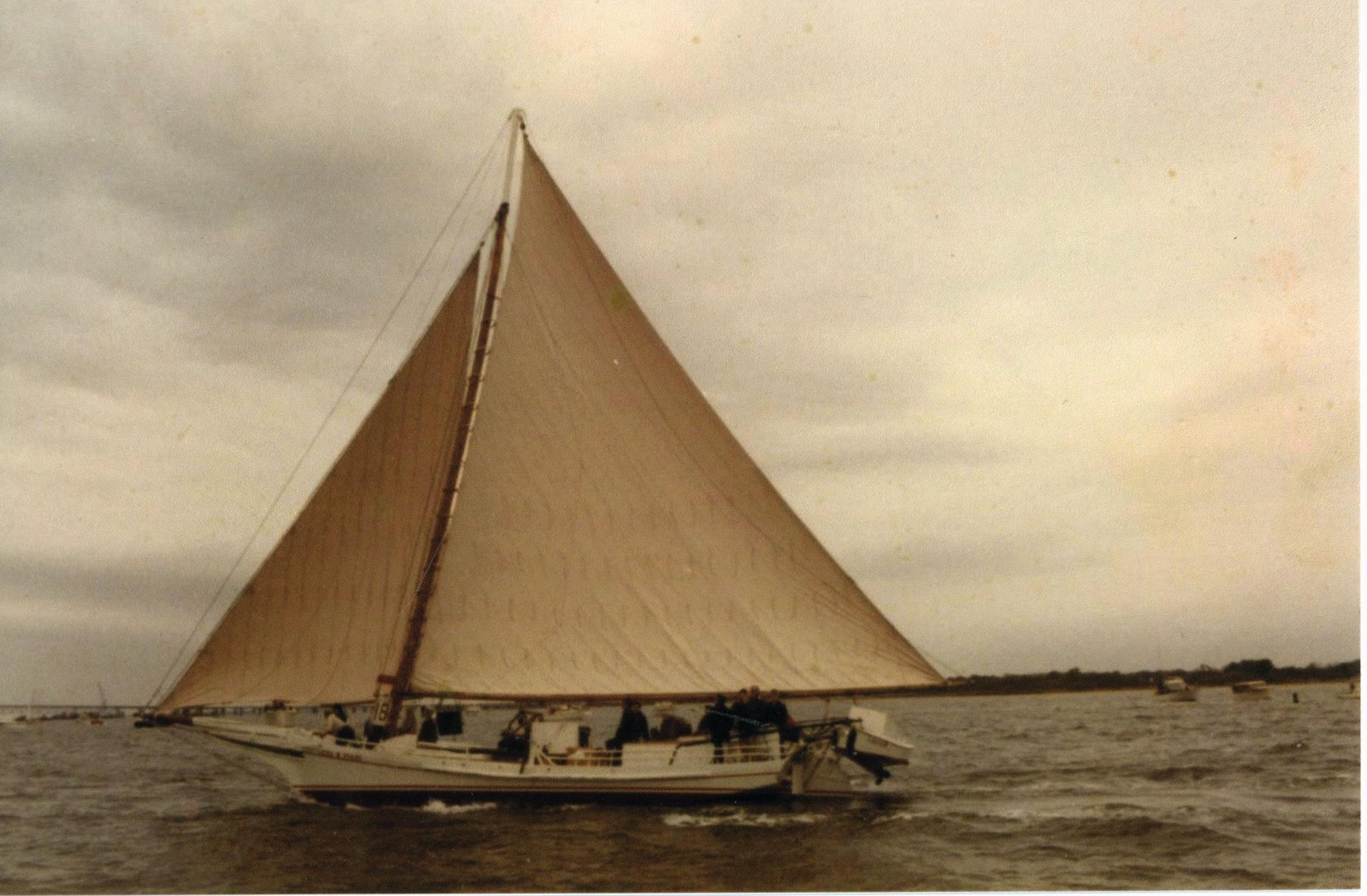 CBMM catalog image