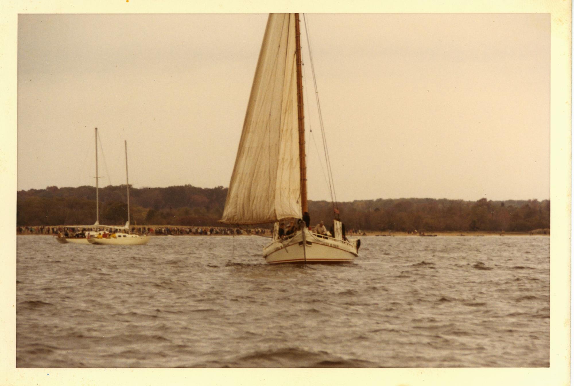 CBMM catalog image