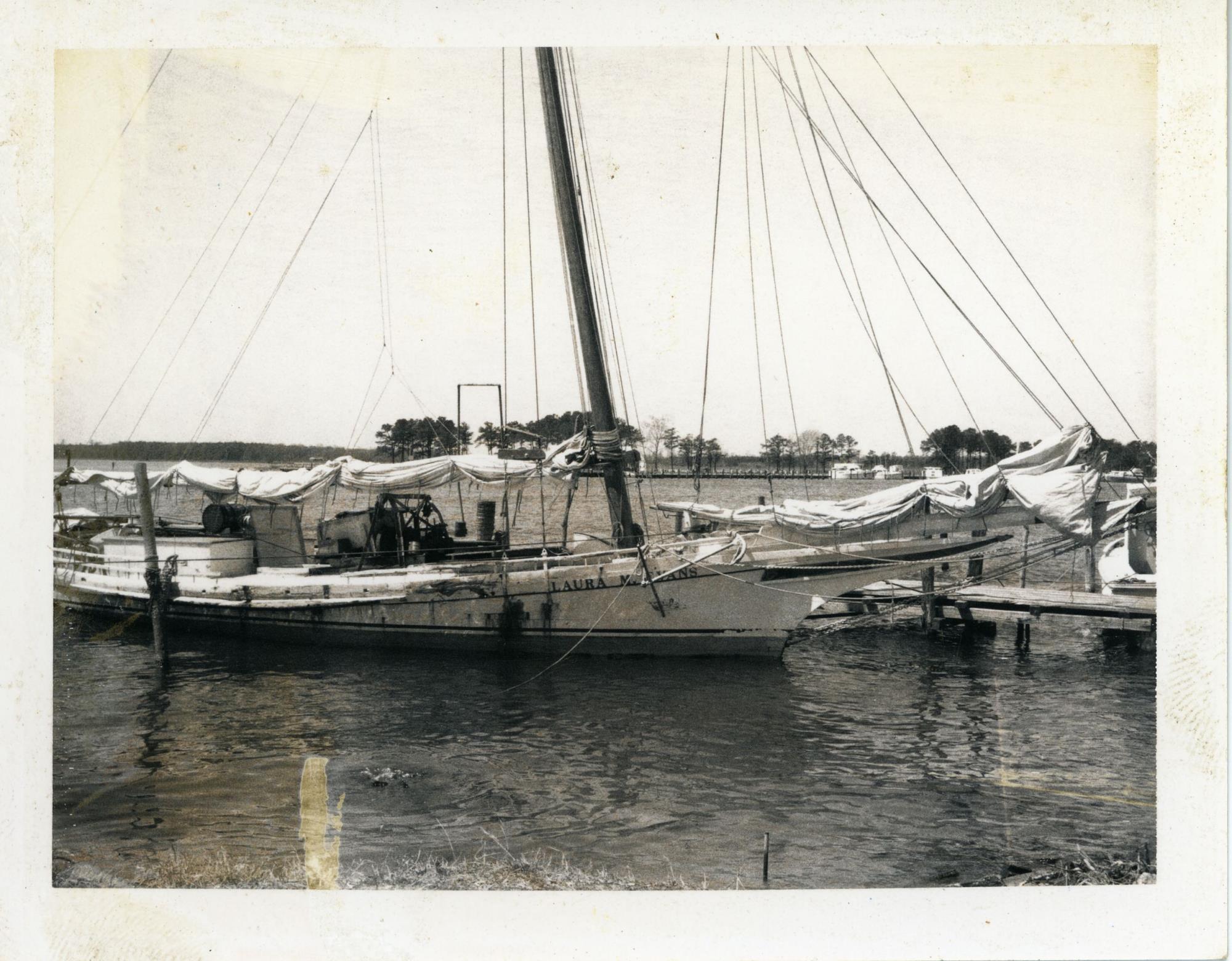 CBMM catalog image