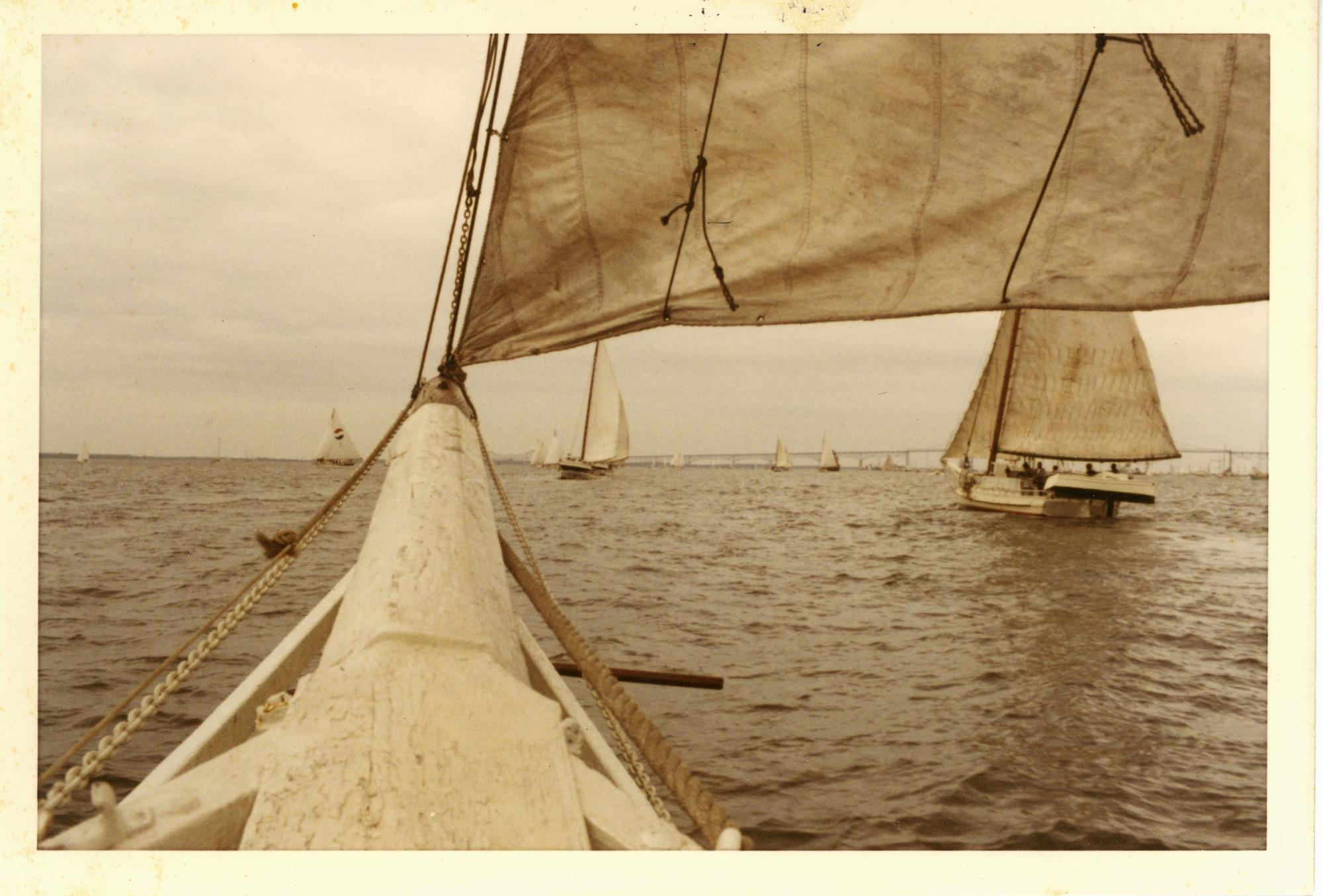 CBMM catalog image