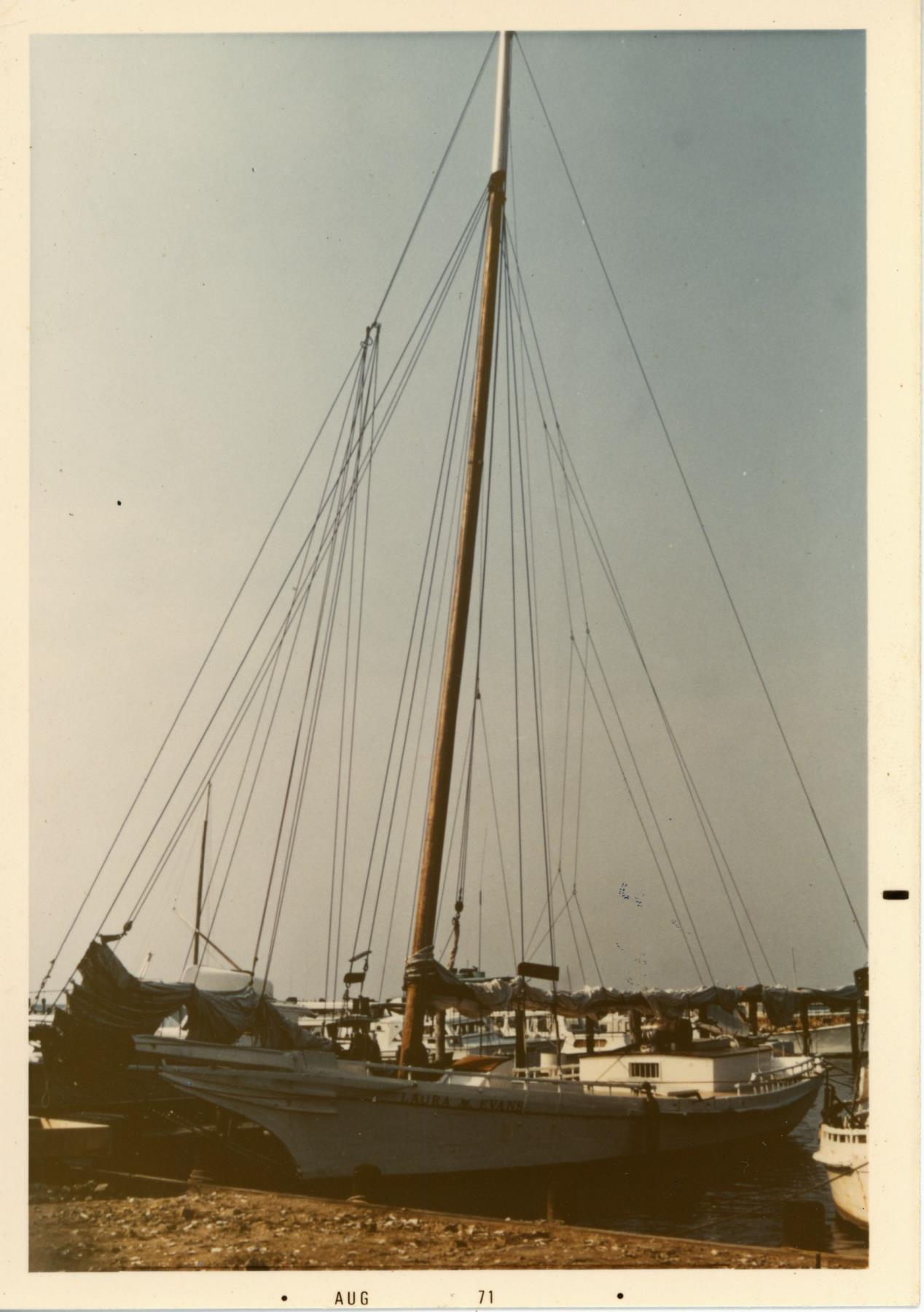 CBMM catalog image