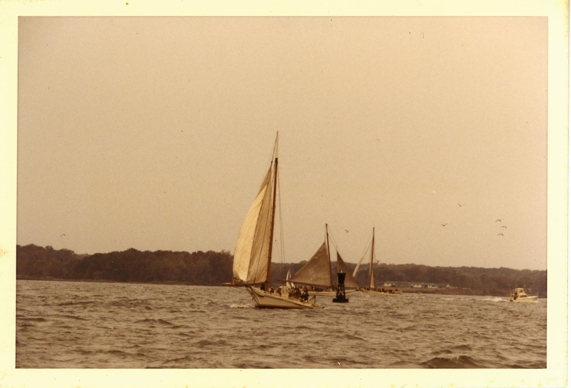 CBMM catalog image