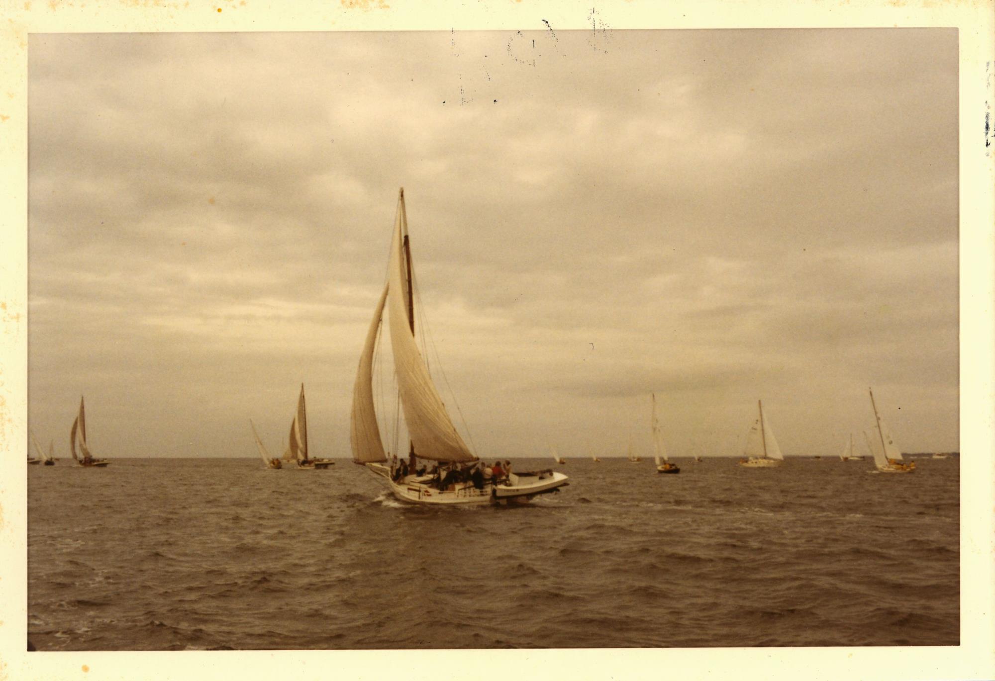 CBMM catalog image