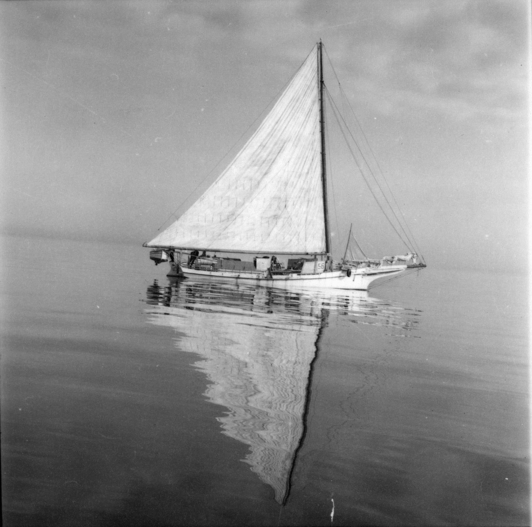 CBMM catalog image
