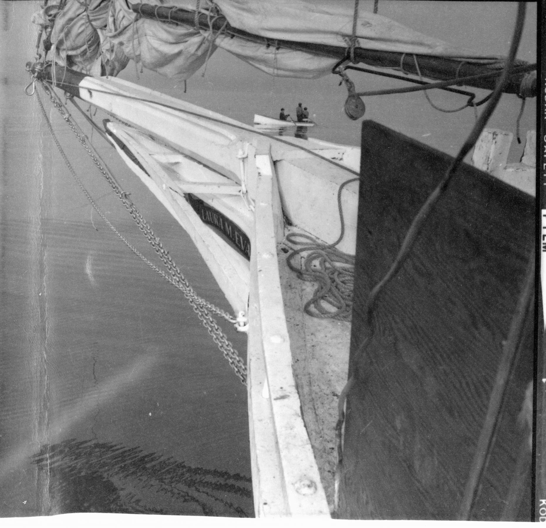 CBMM catalog image