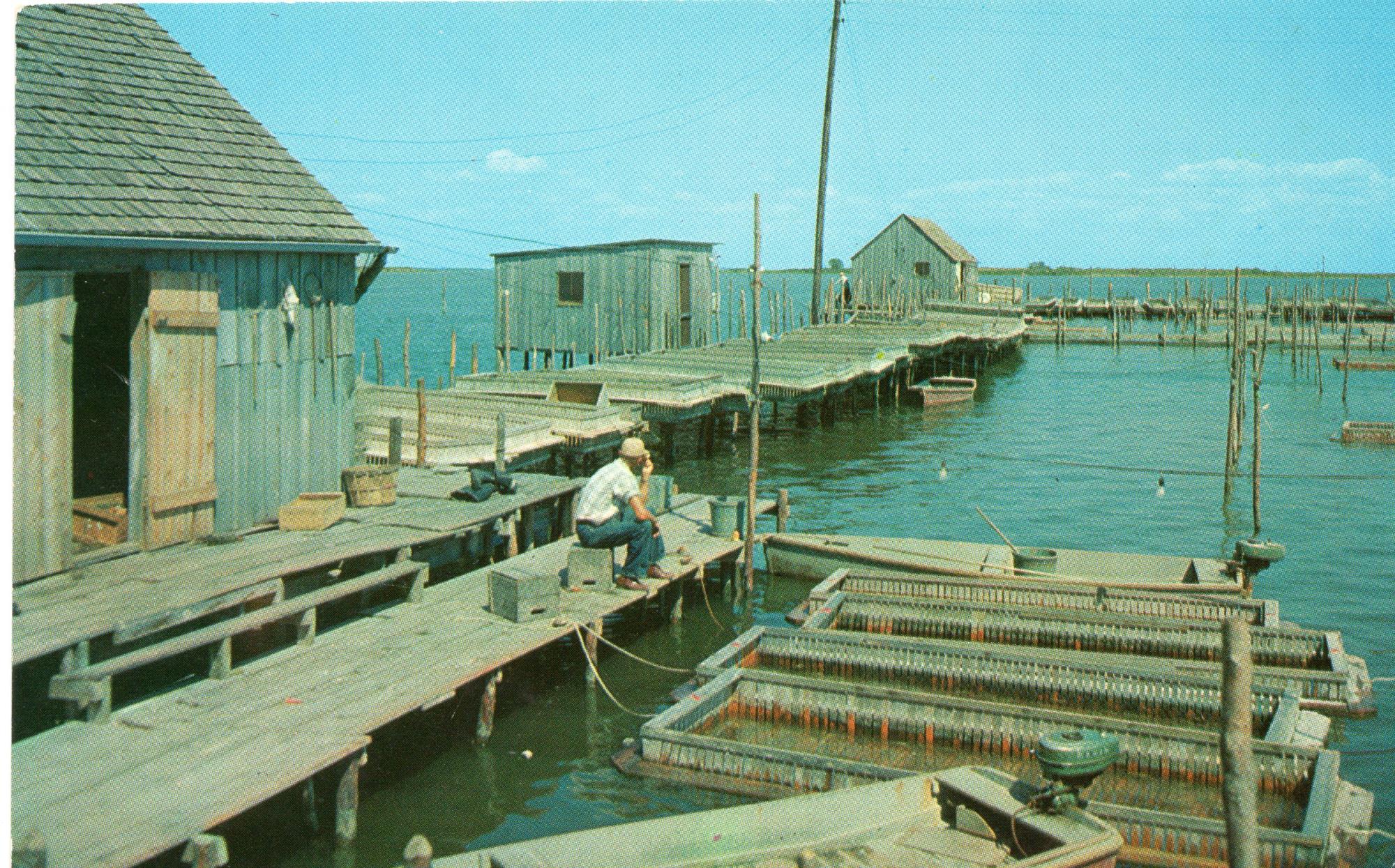 CBMM catalog image