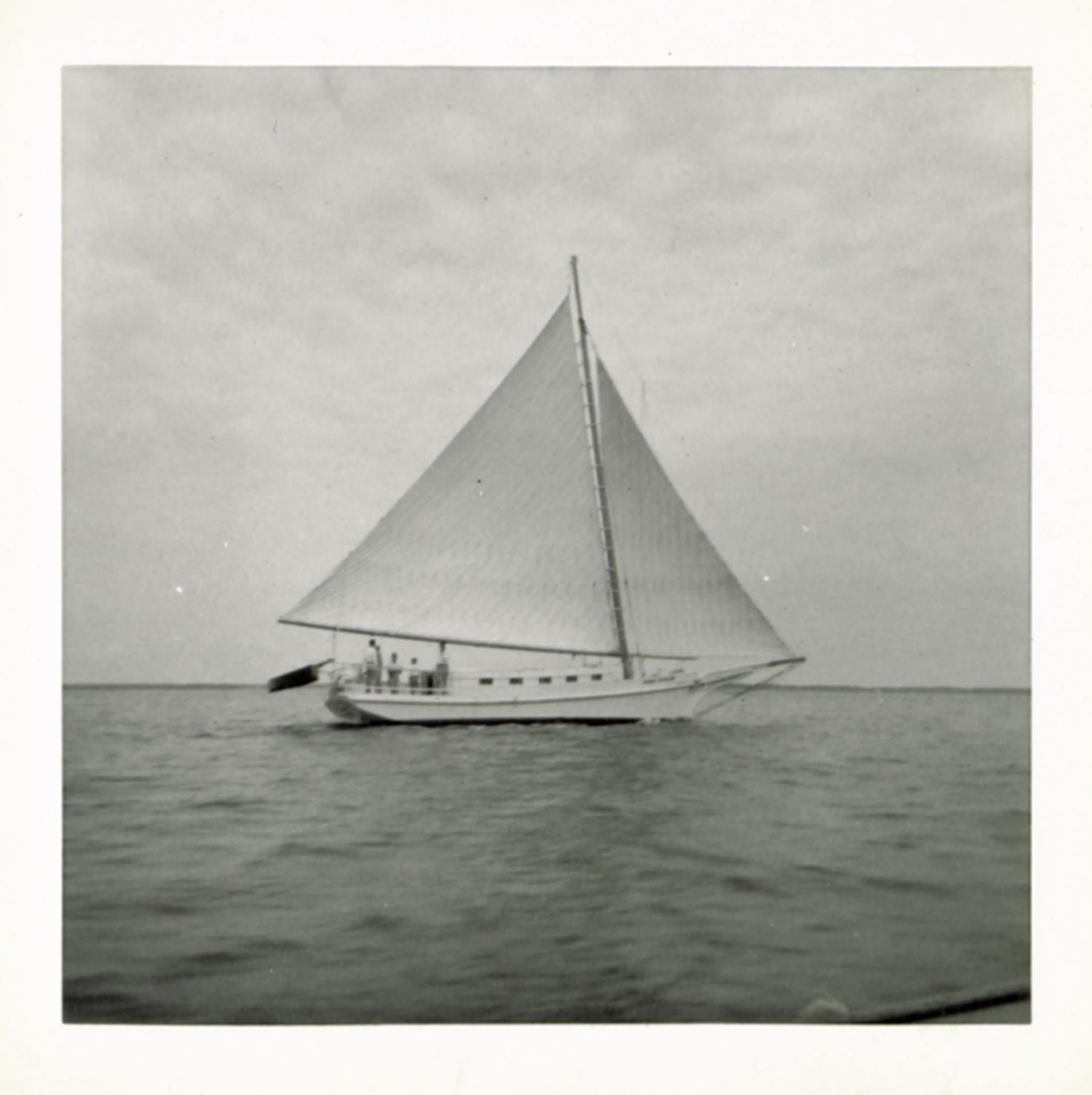 CBMM catalog image