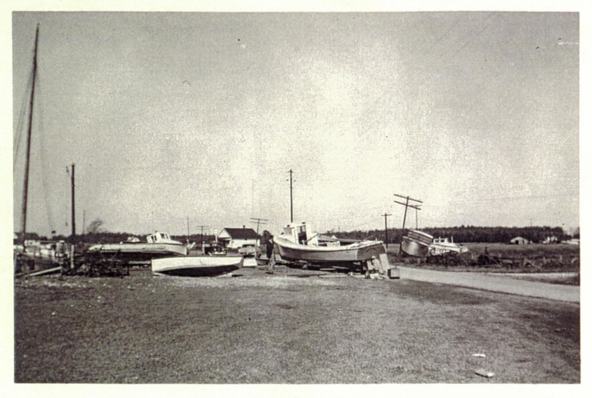 CBMM catalog image