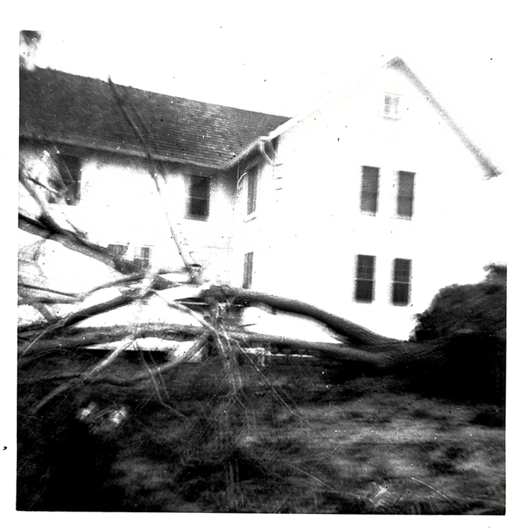 CBMM catalog image