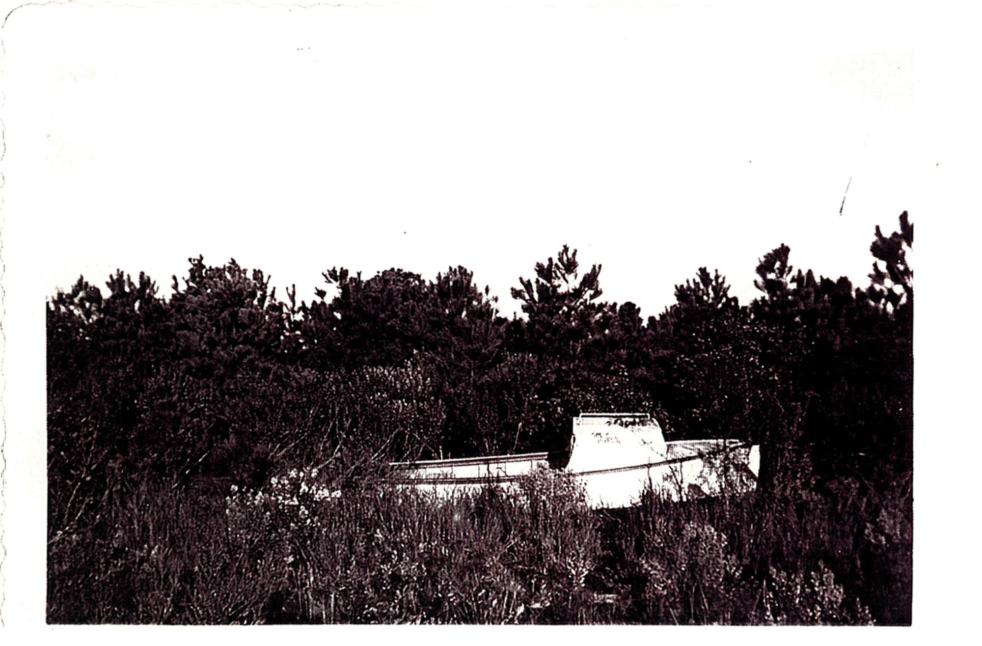 CBMM catalog image