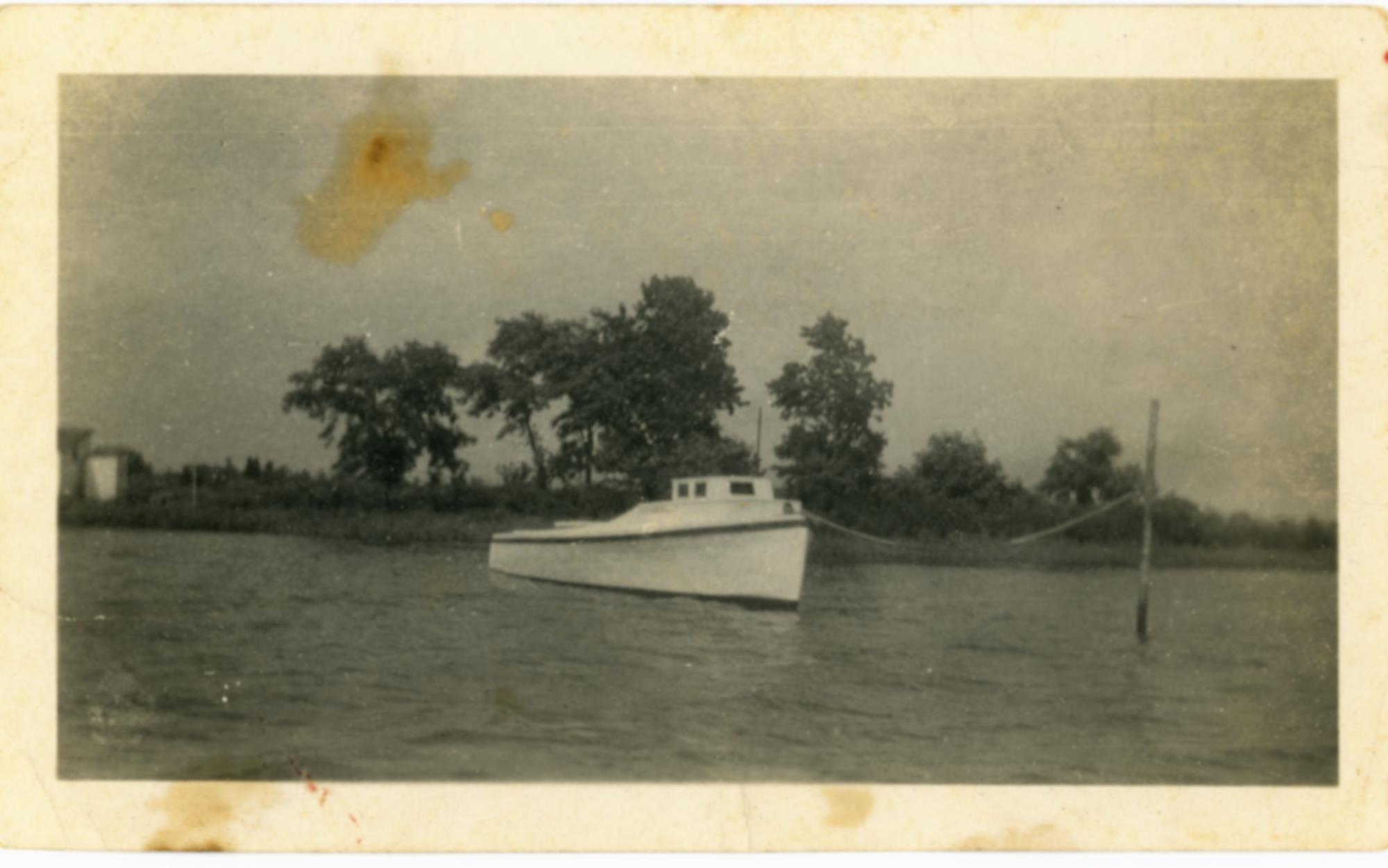 CBMM catalog image