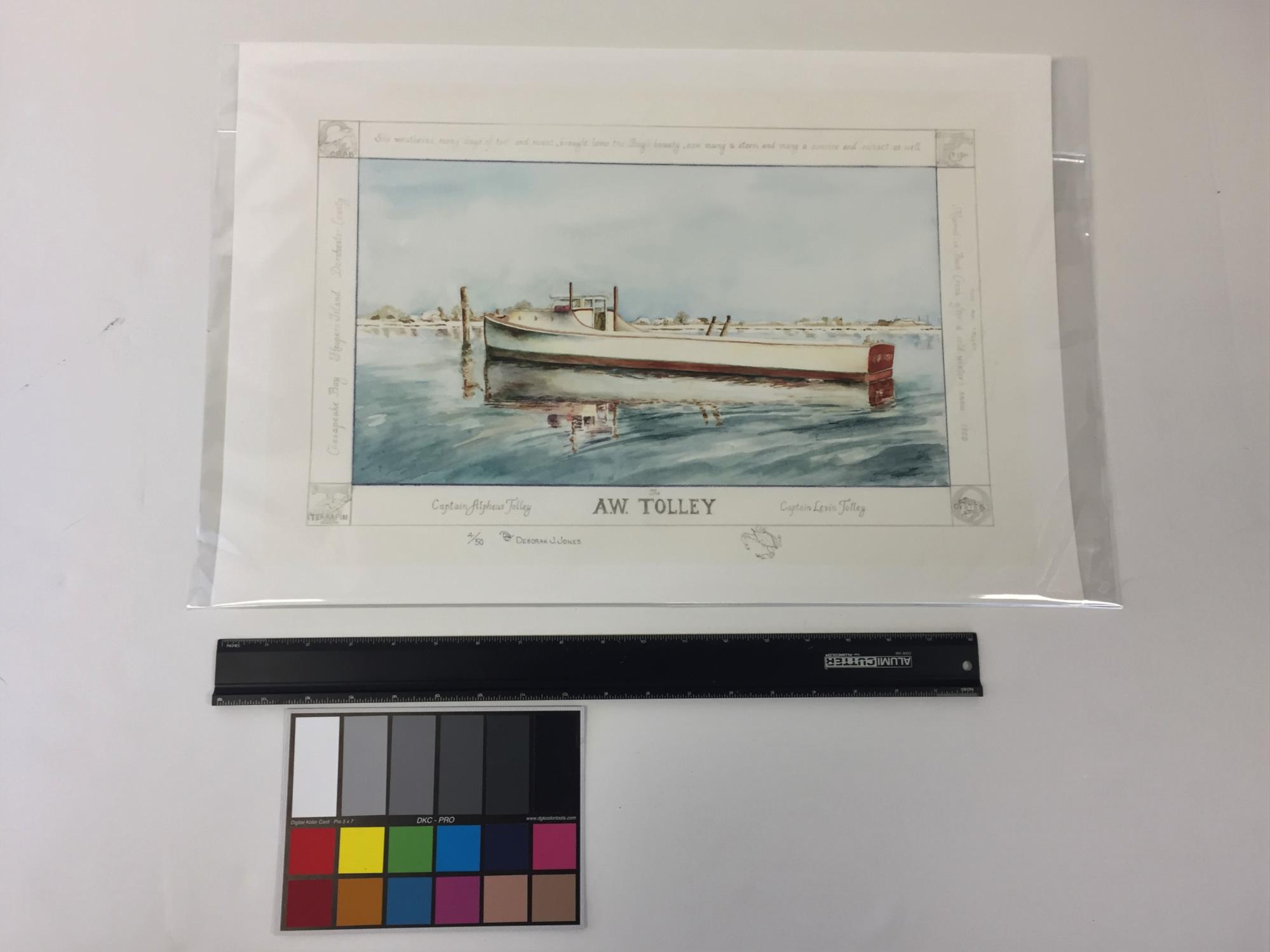 CBMM catalog image