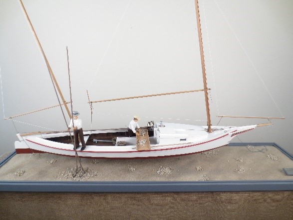 CBMM catalog image