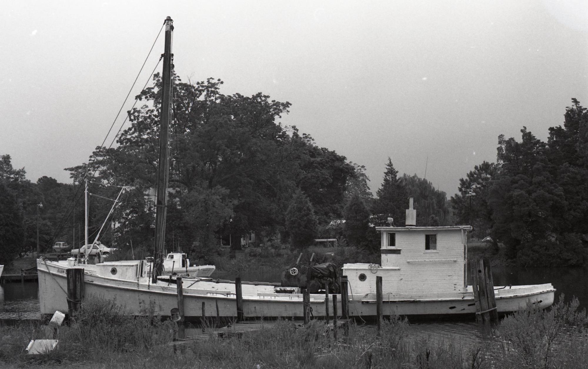 CBMM catalog image