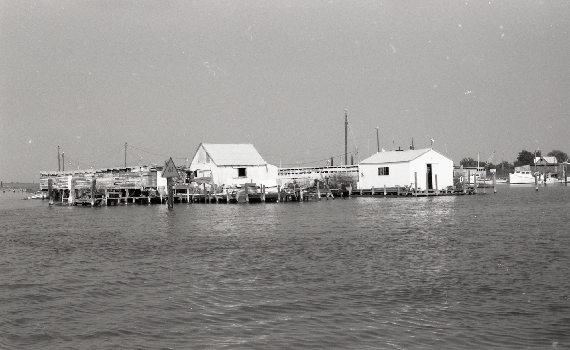 CBMM catalog image