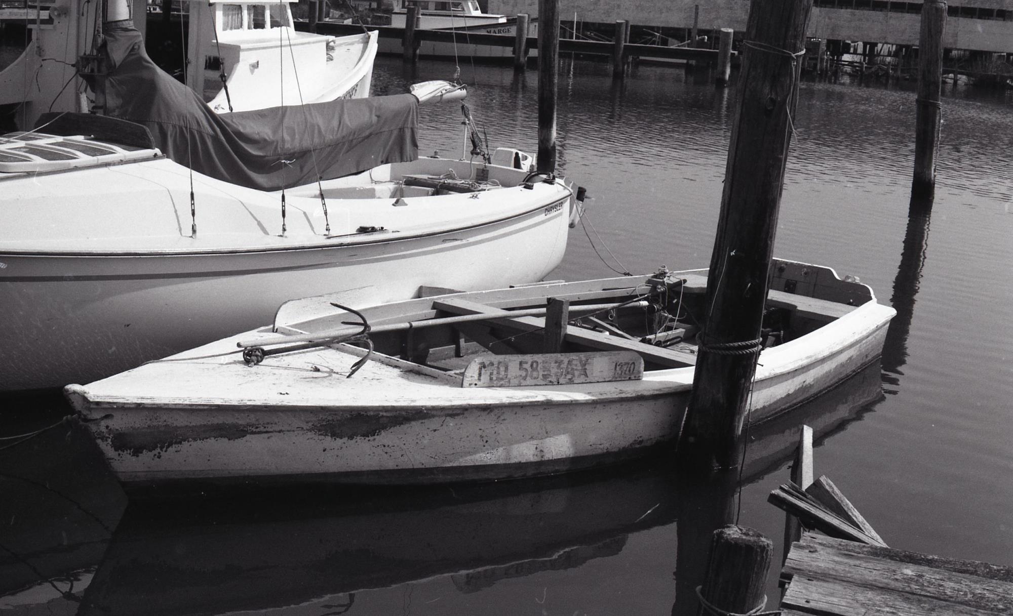 CBMM catalog image