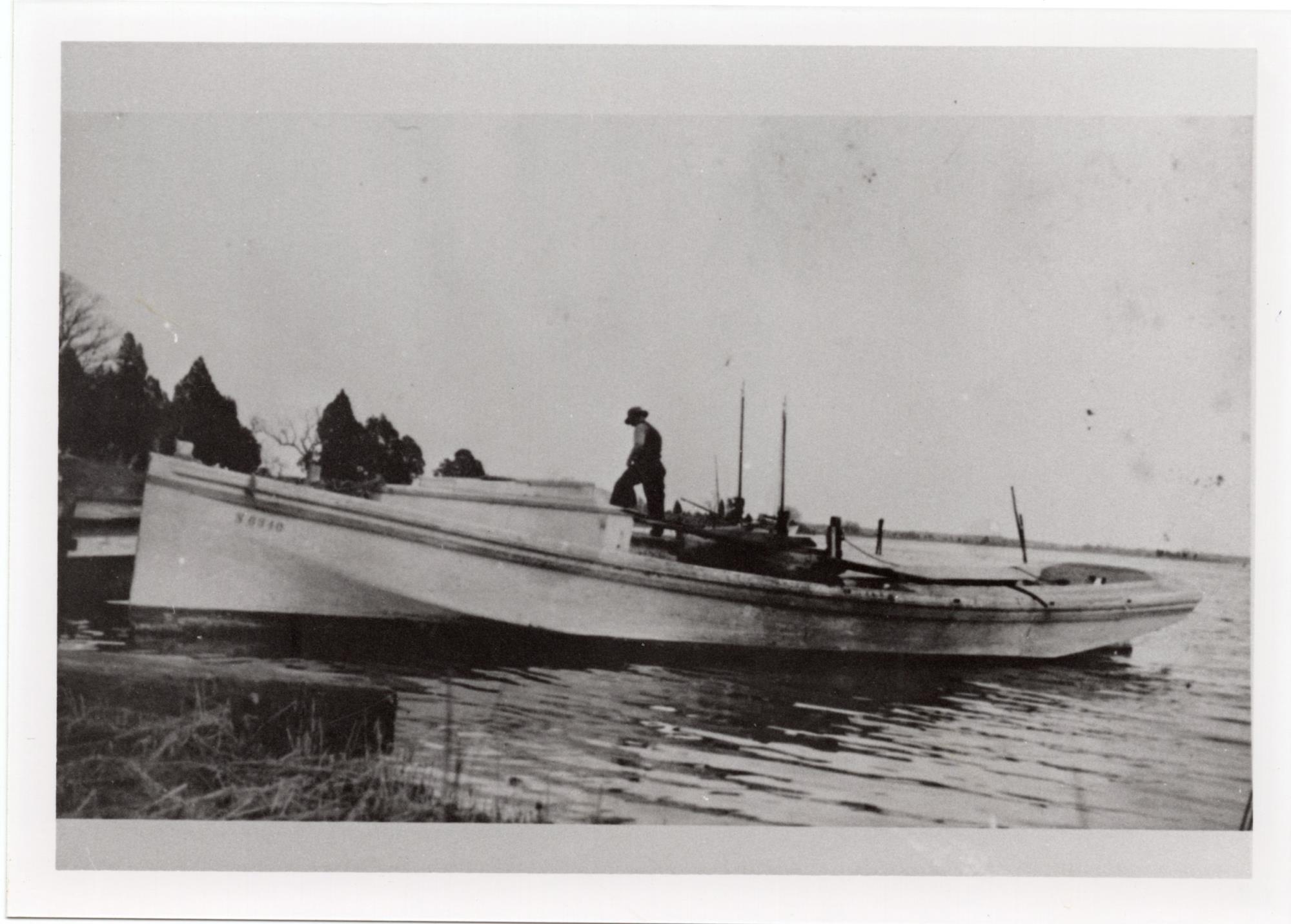 CBMM catalog image