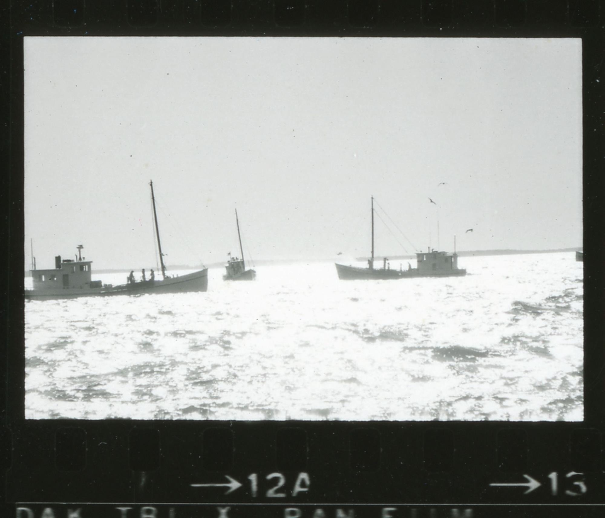 CBMM catalog image
