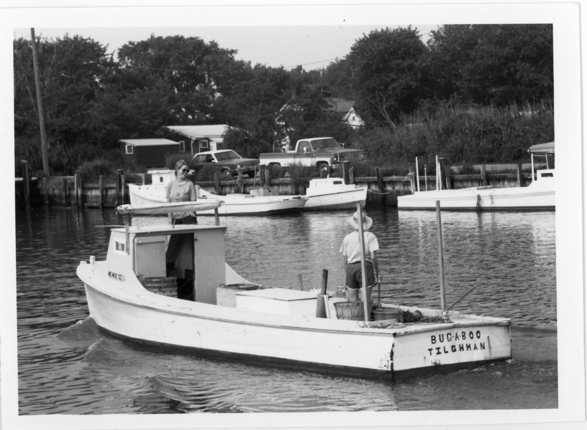 CBMM catalog image