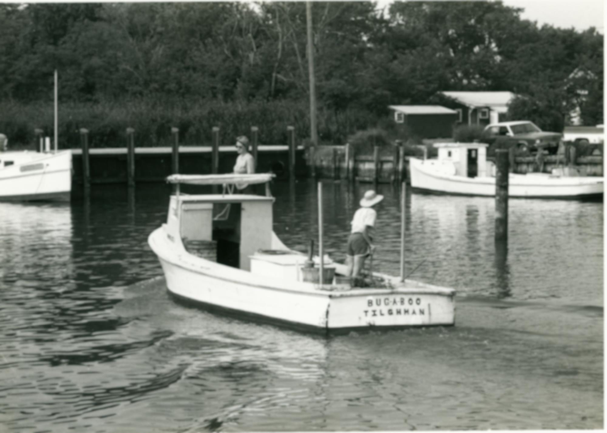 CBMM catalog image