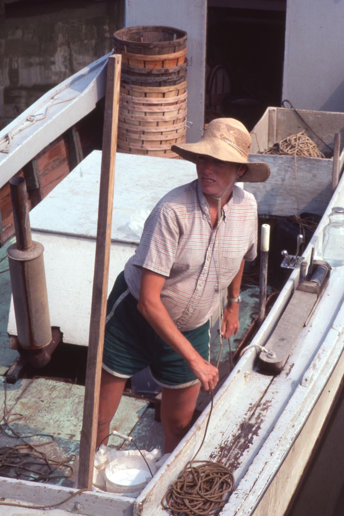 CBMM catalog image