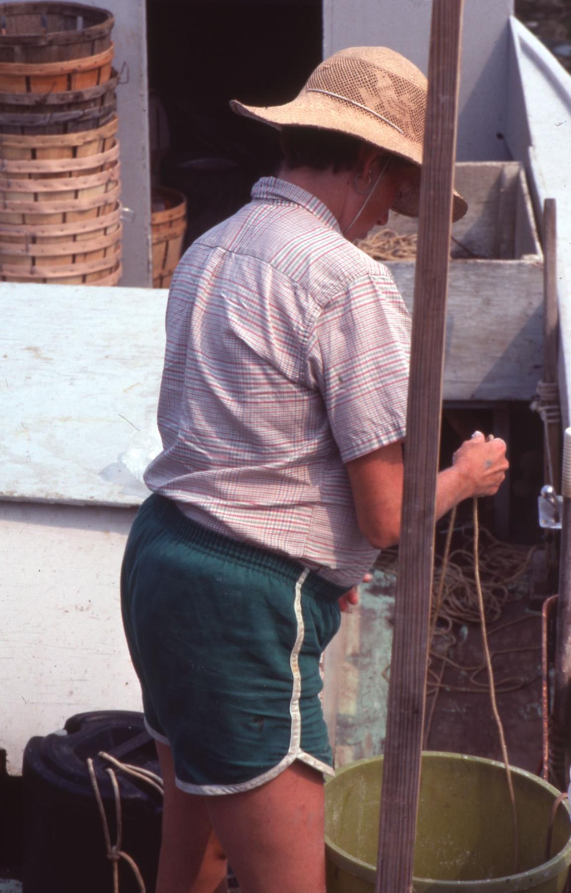 CBMM catalog image