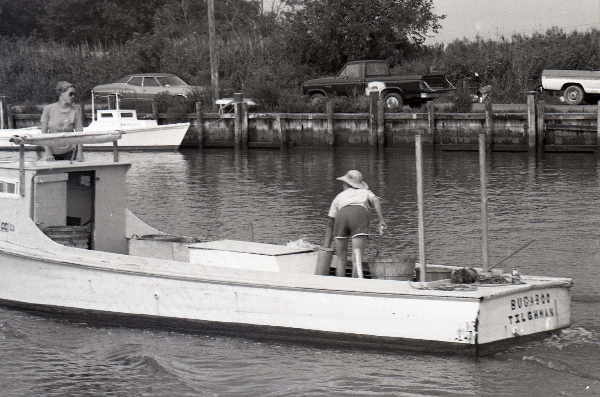 CBMM catalog image