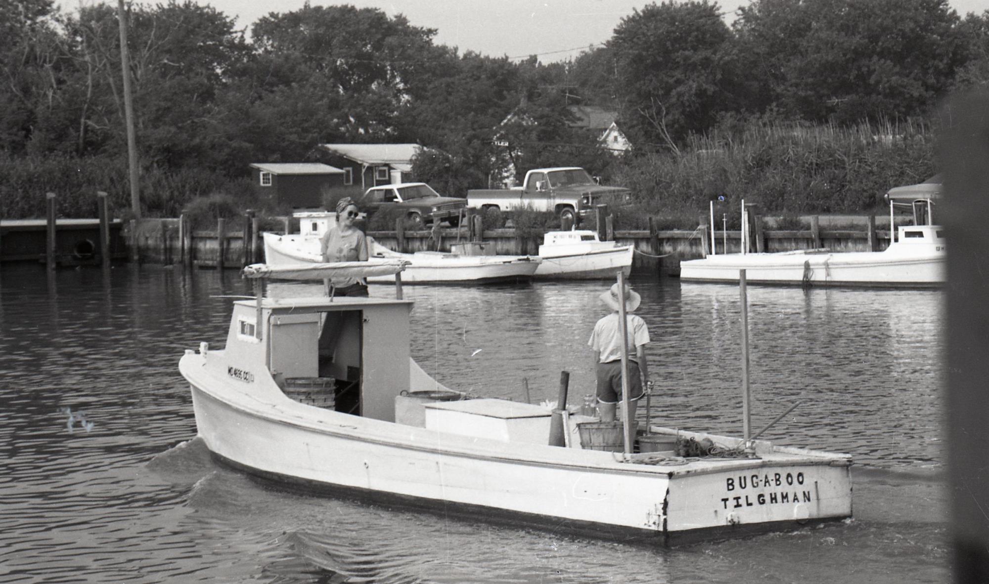 CBMM catalog image
