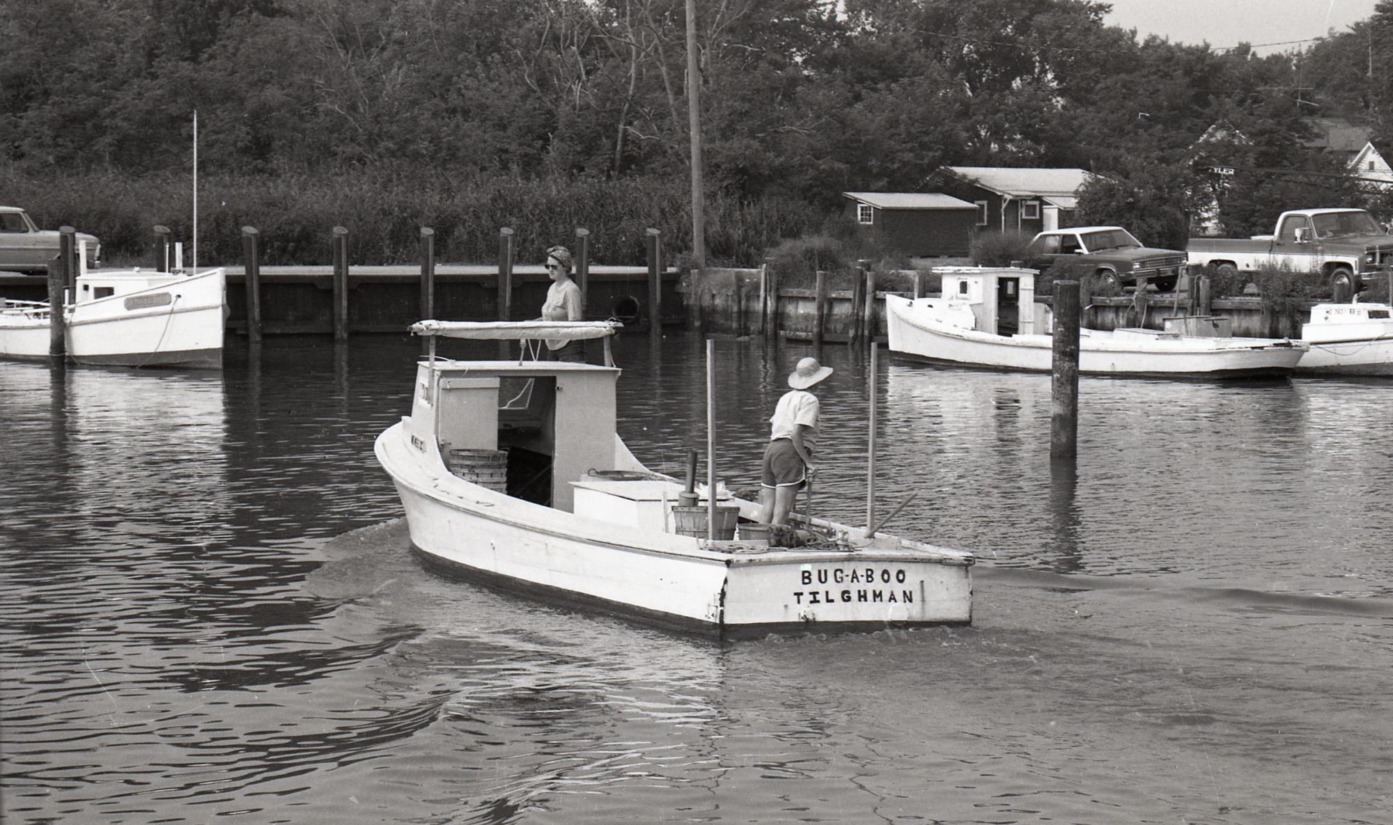 CBMM catalog image