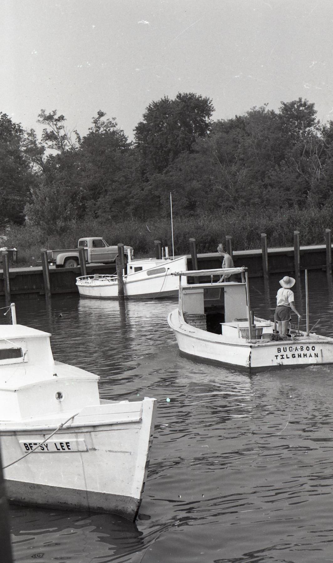CBMM catalog image