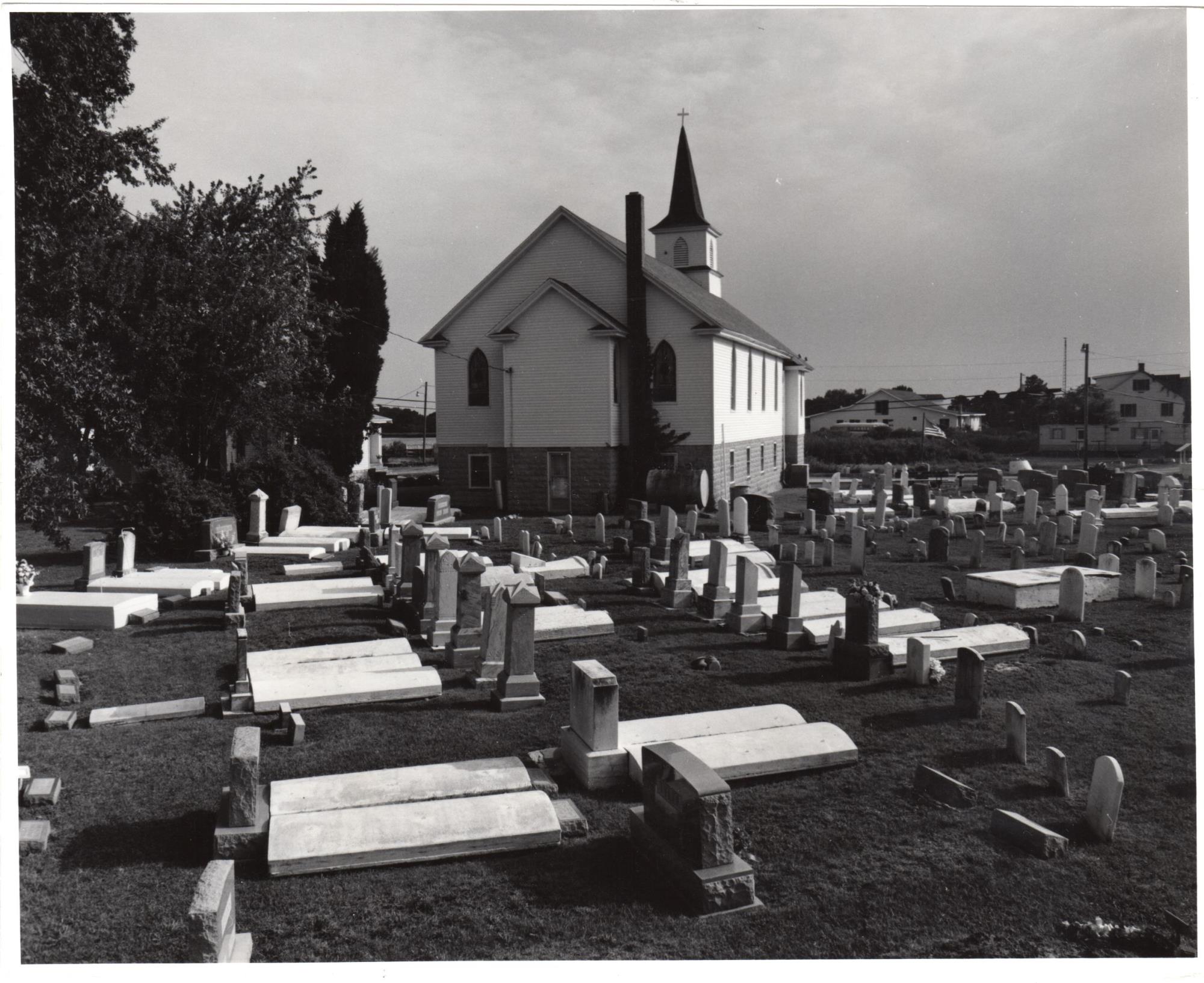 CBMM catalog image