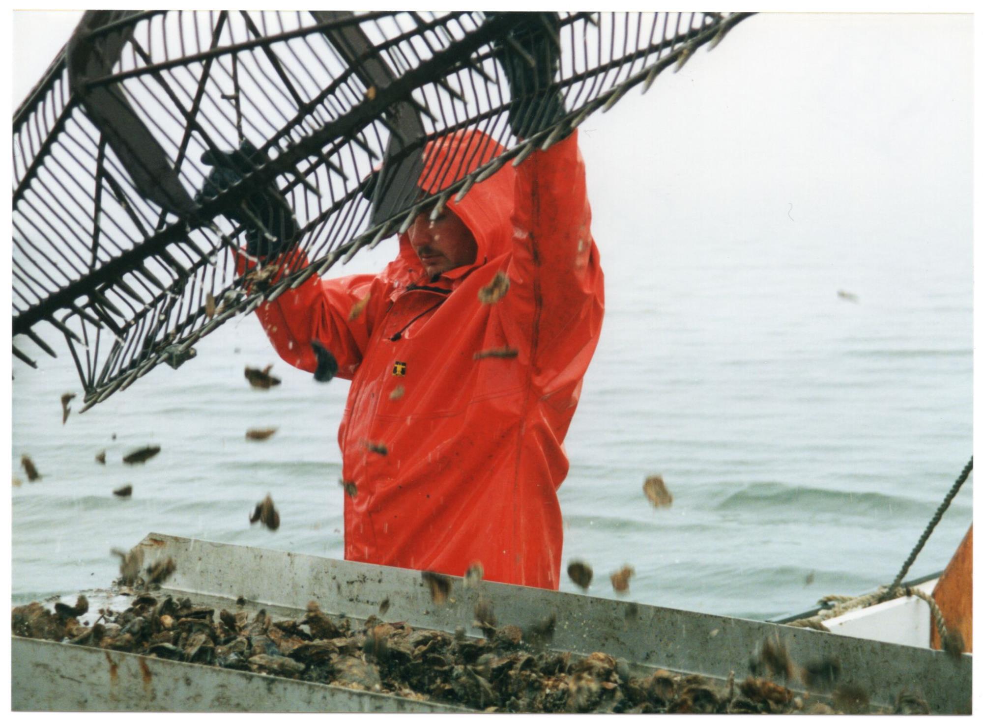 CBMM catalog image