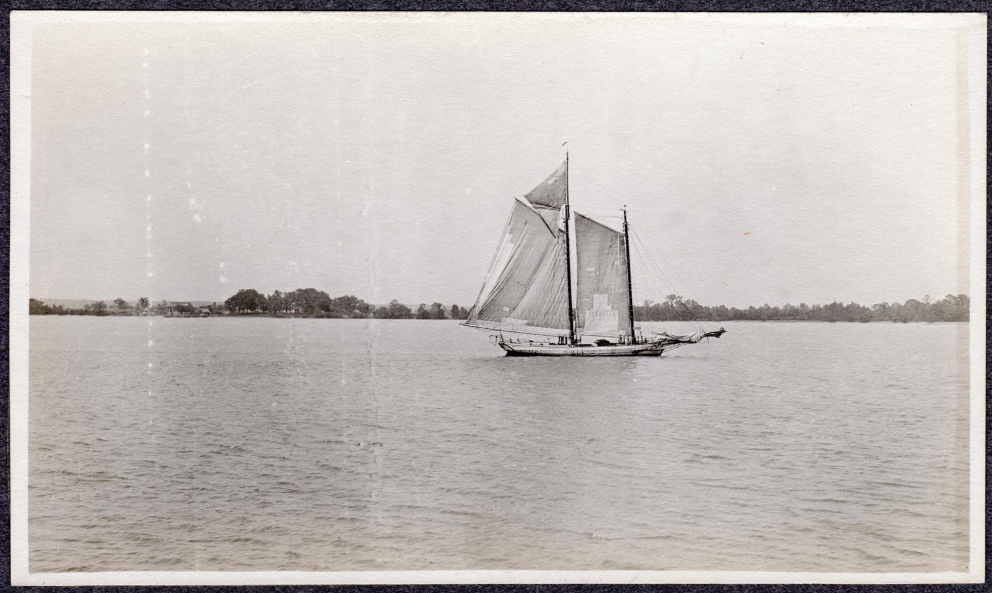CBMM catalog image
